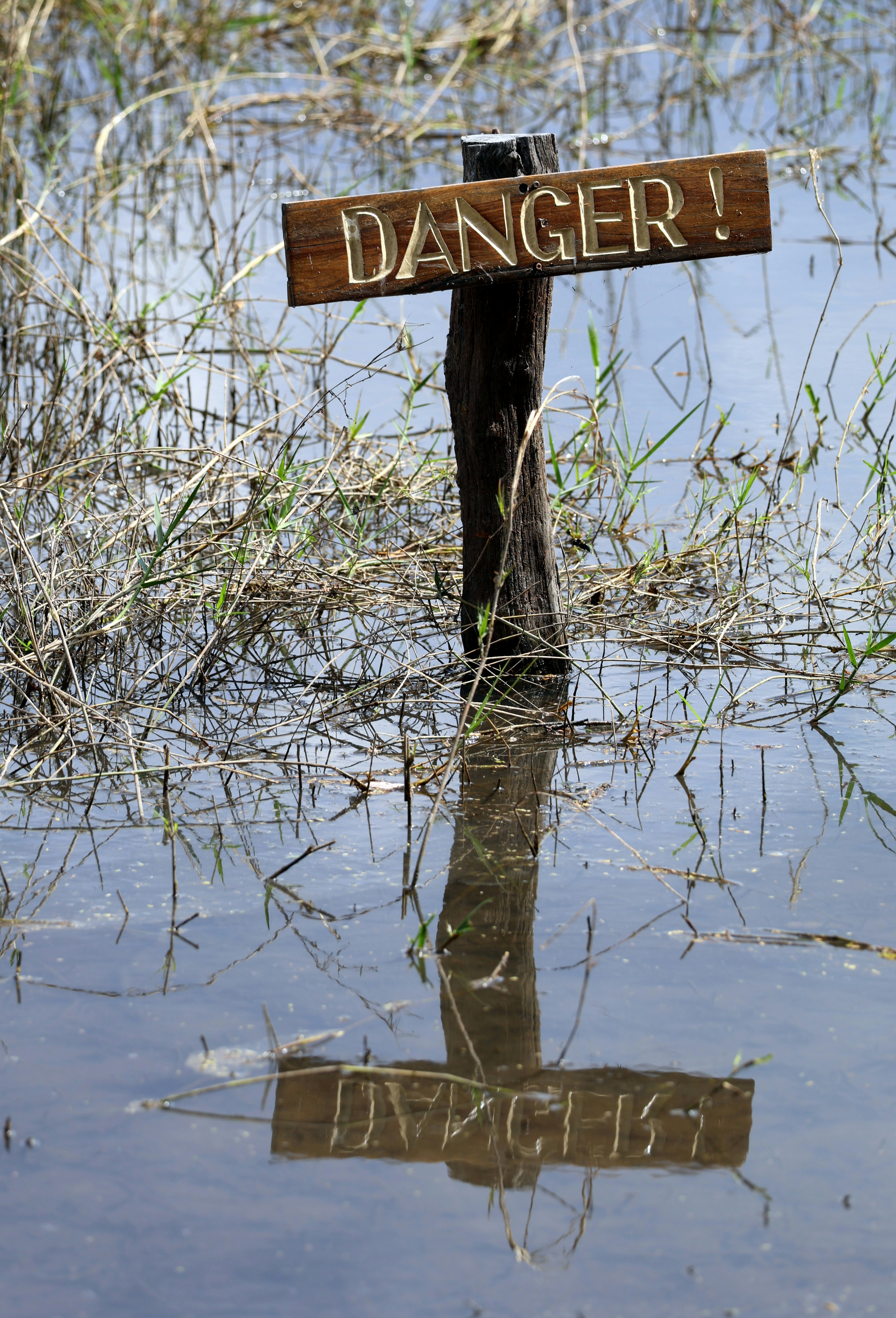 A wooden sign reading DANGER! on a post in shallow flooded marshland