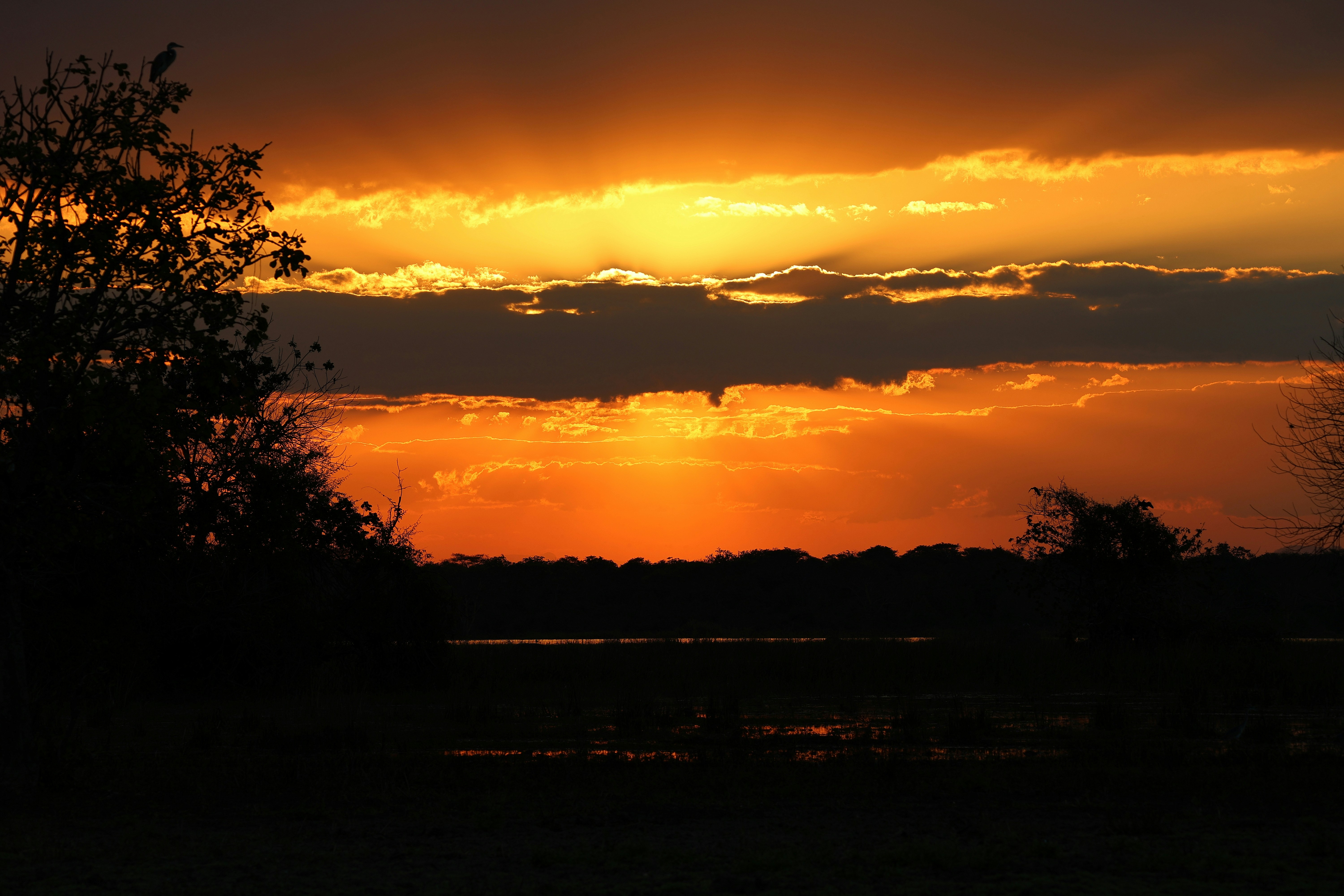 Low sun behind dark clouds over a silhouetted tree and distant horizon