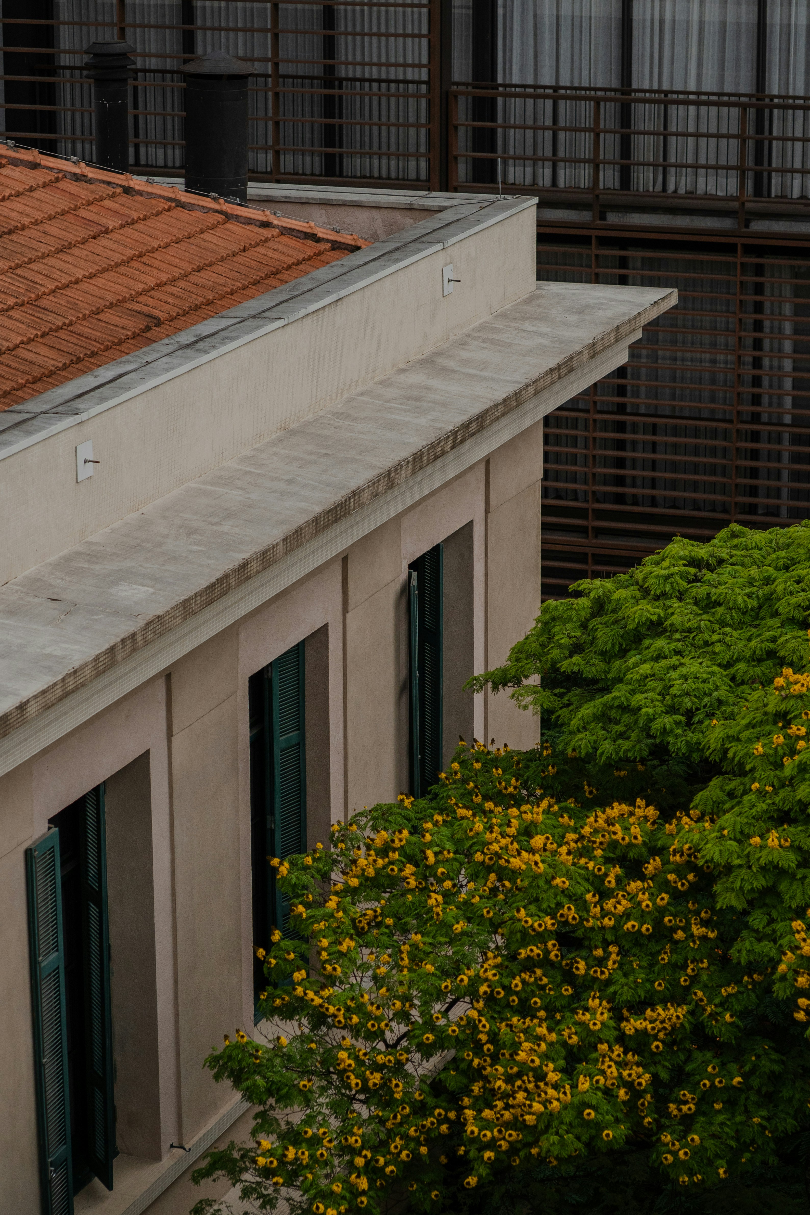 A building with a terracotta roof and green shutters beside a flowering tree