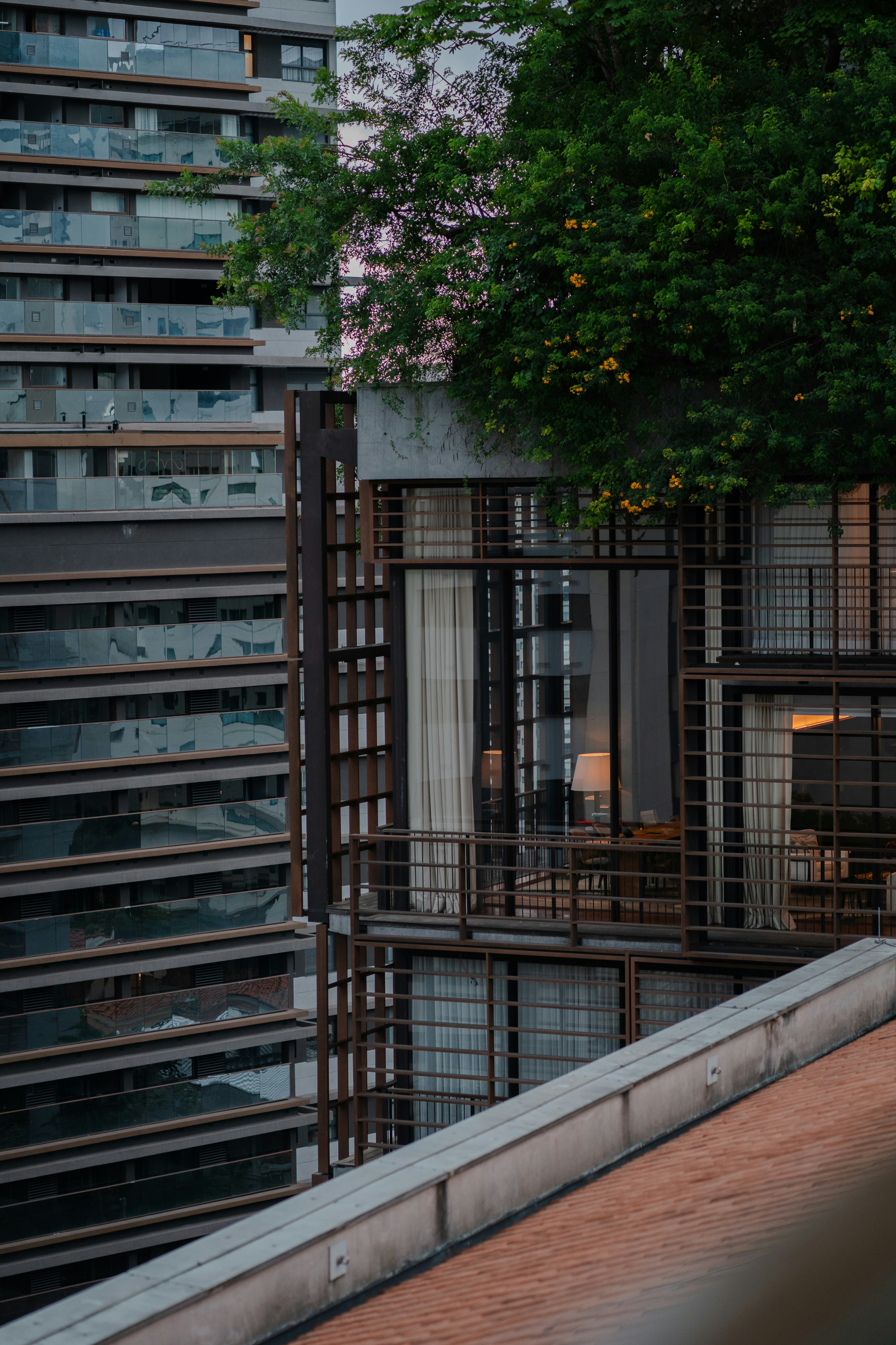 Modern apartment building with metal louvers and a tree on the balcony