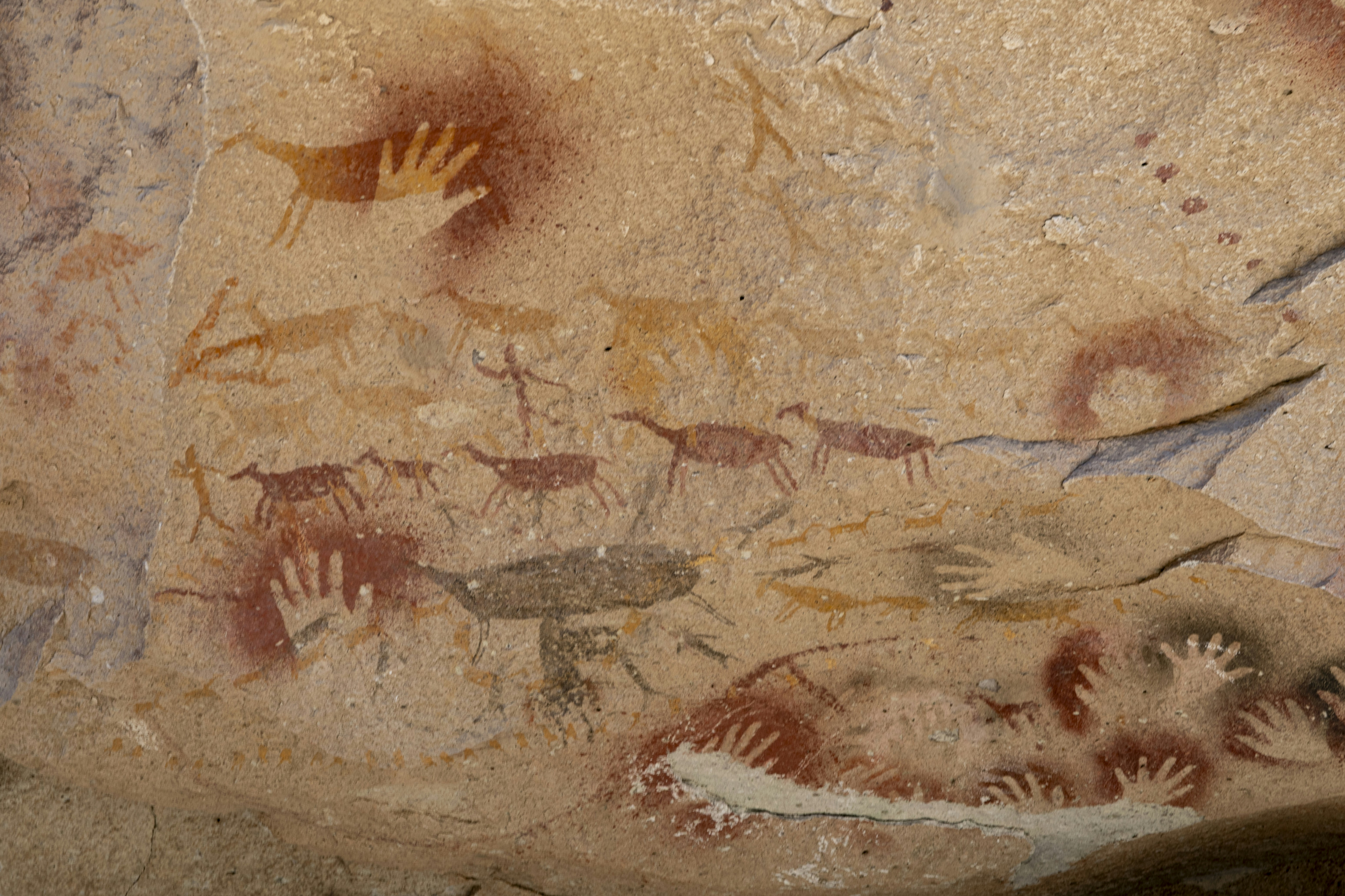 Ancient rock art featuring red handprints and animal figures on a sandstone wall