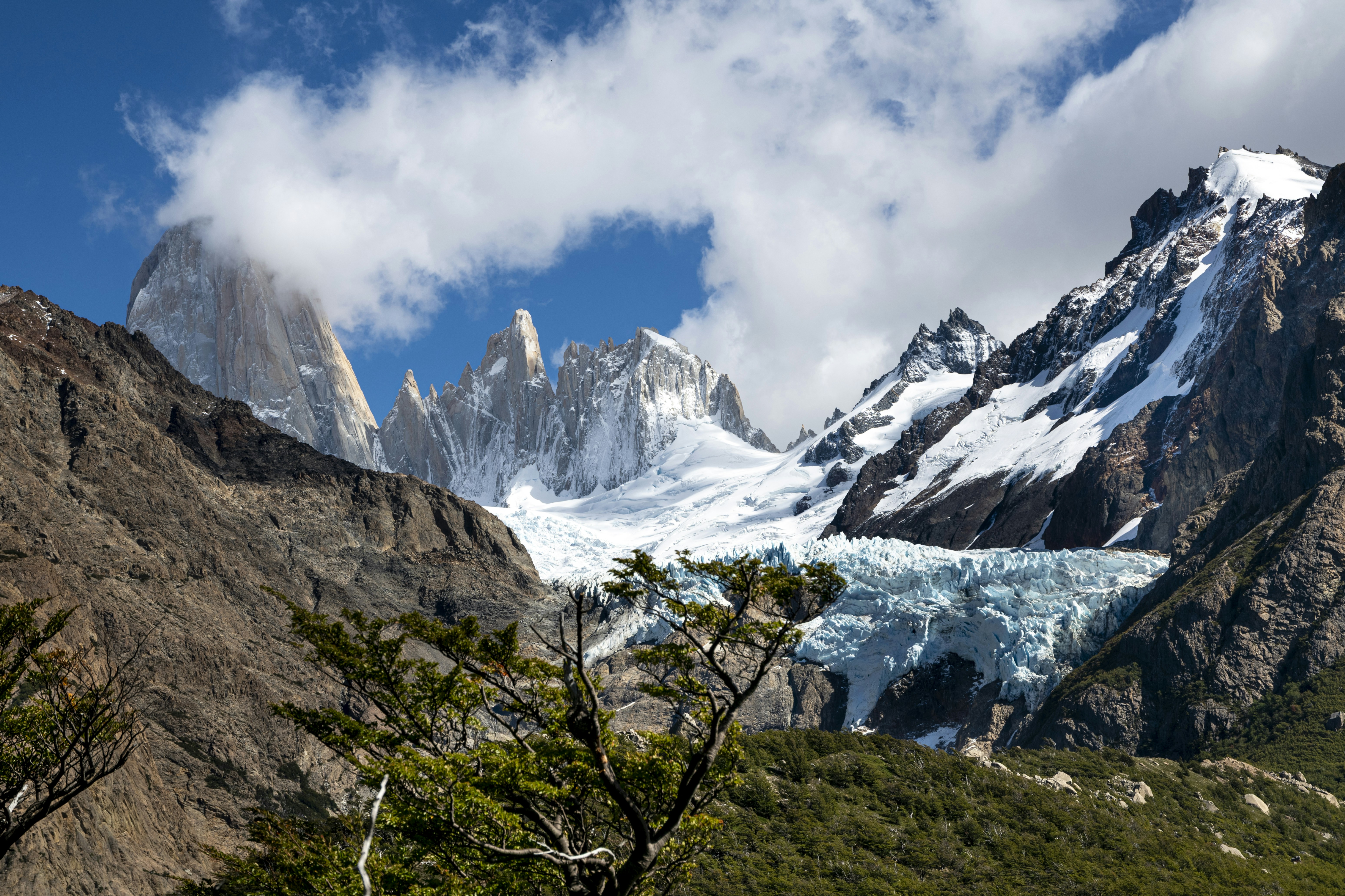 Snow-capped peaks and a blue glacier above a green forest in Patagonia