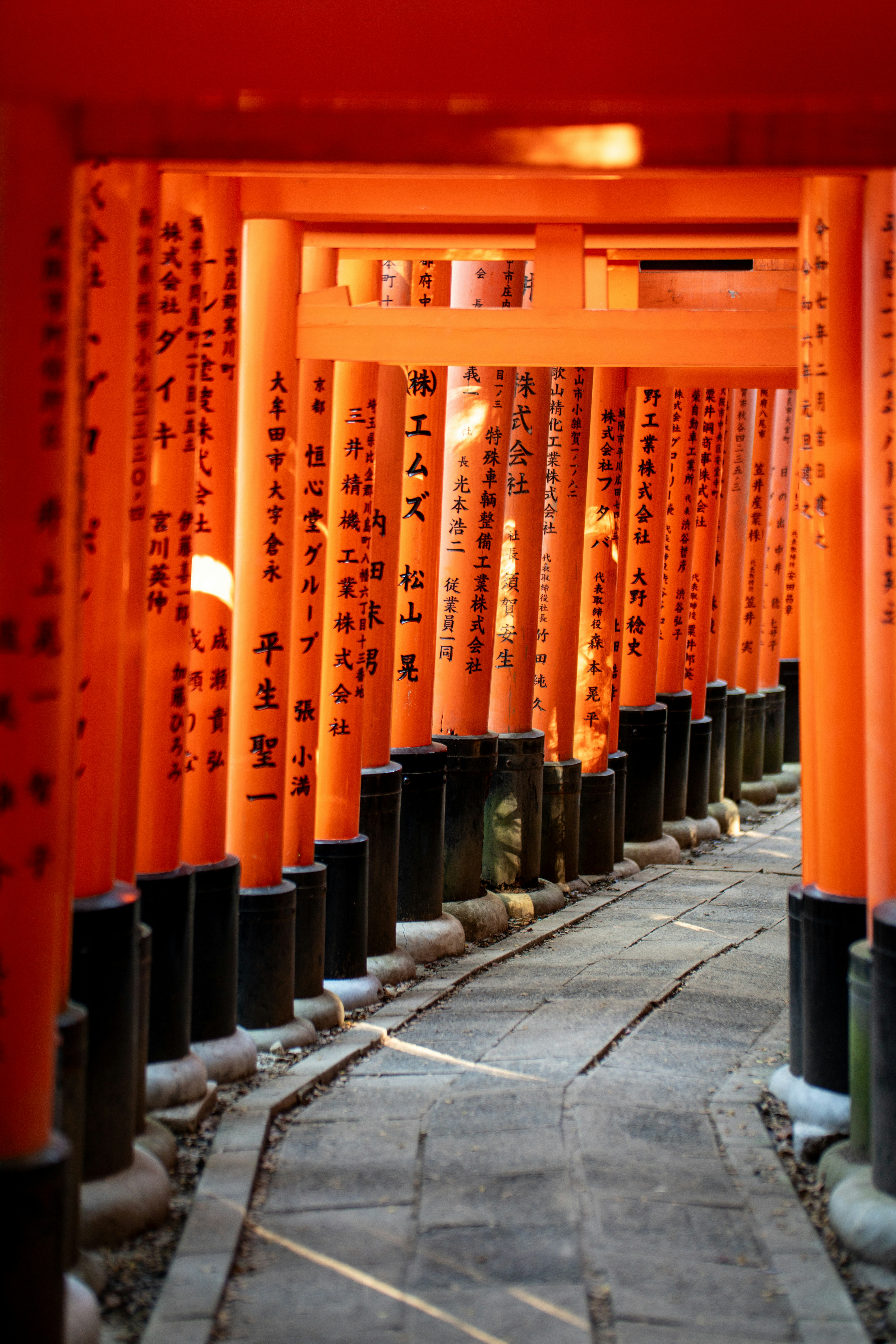 Un chemin de pierre serpentant à travers des rangées de torii orange vif à Kyoto