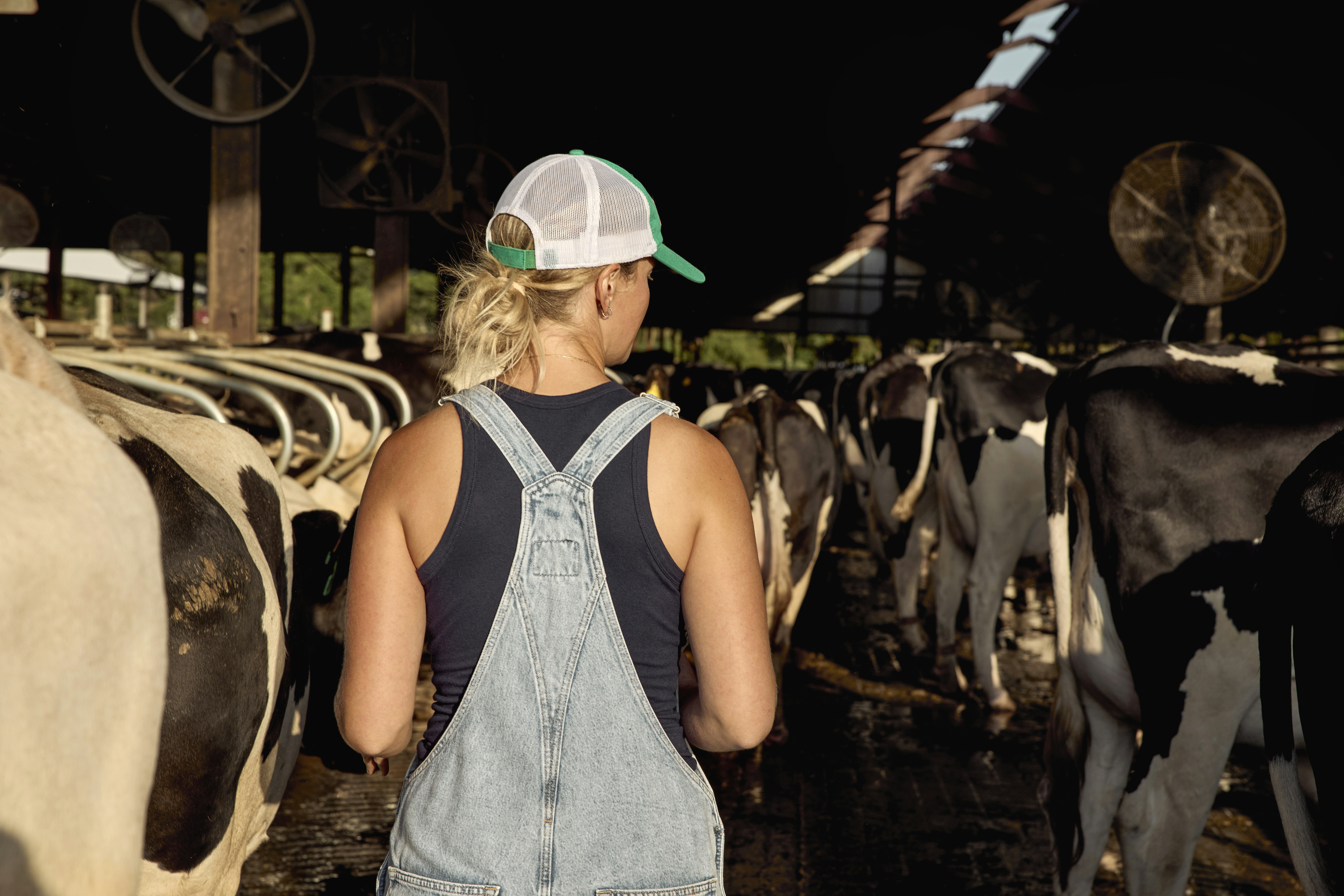 Female dairy farmer walking among cows in a barn. Georgia, USA.