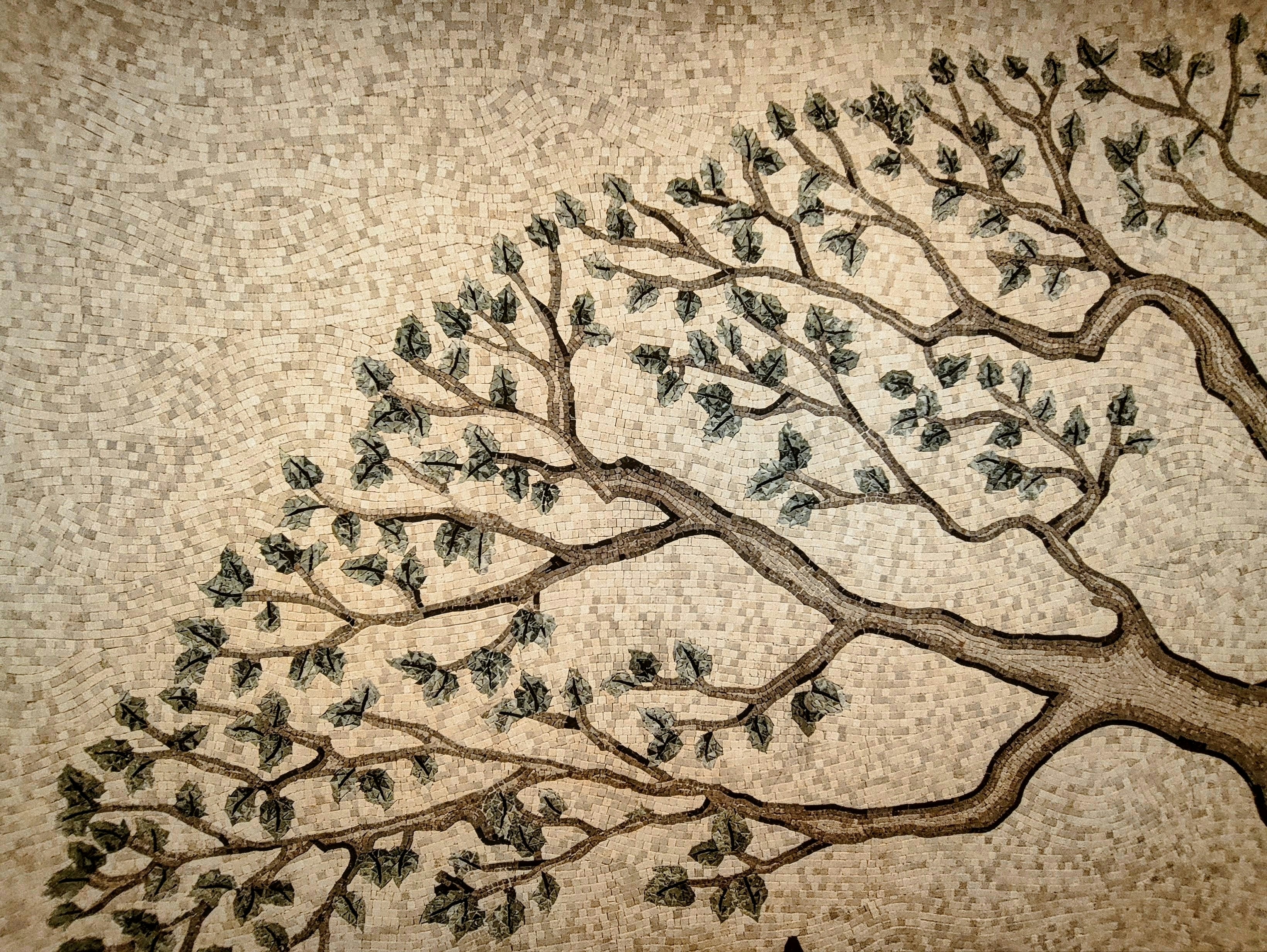 Tree mosaic with green leaves - Free Photo on Unsplash