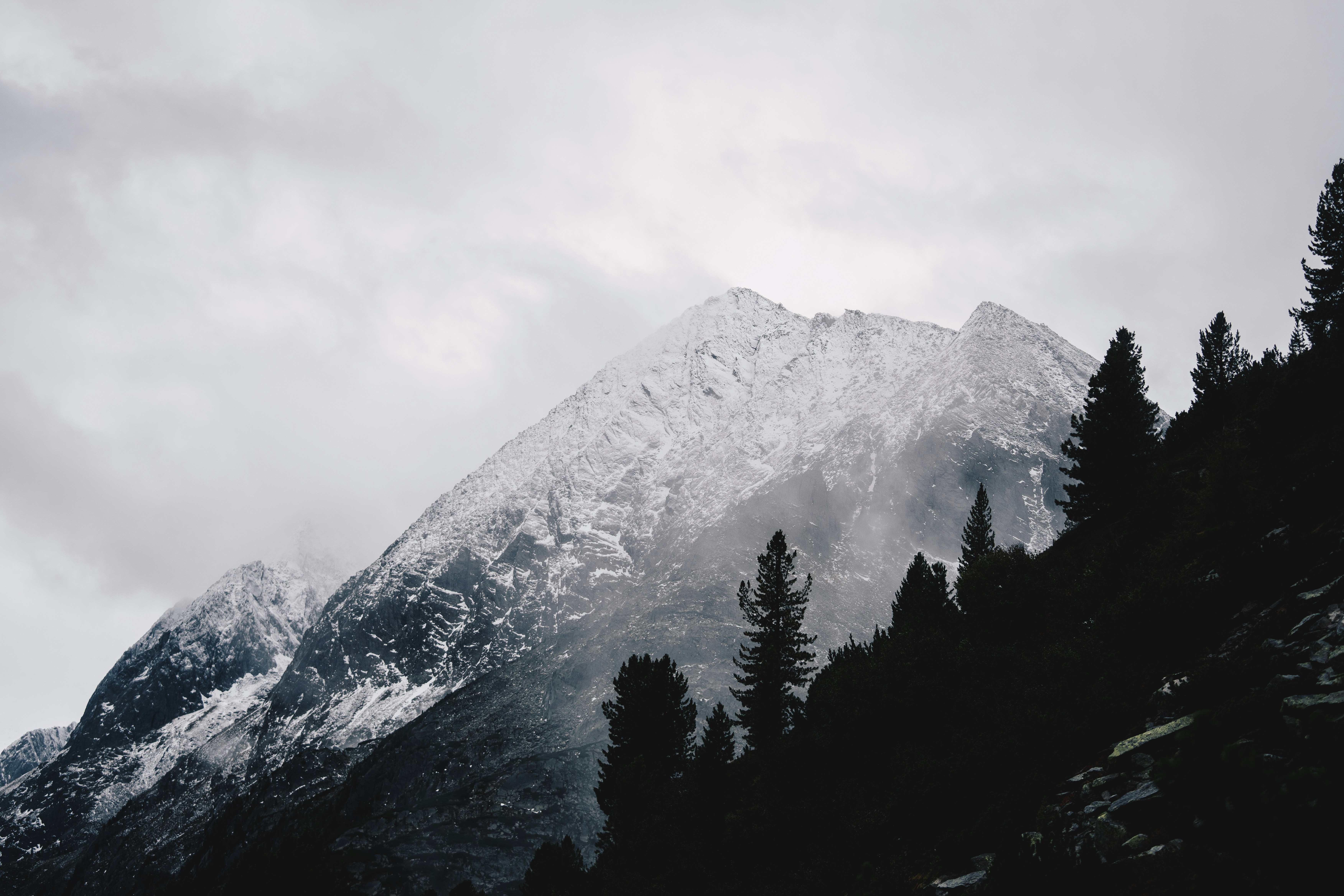 Snow-covered mountain peaks rising above a dark forest under a cloudy sky