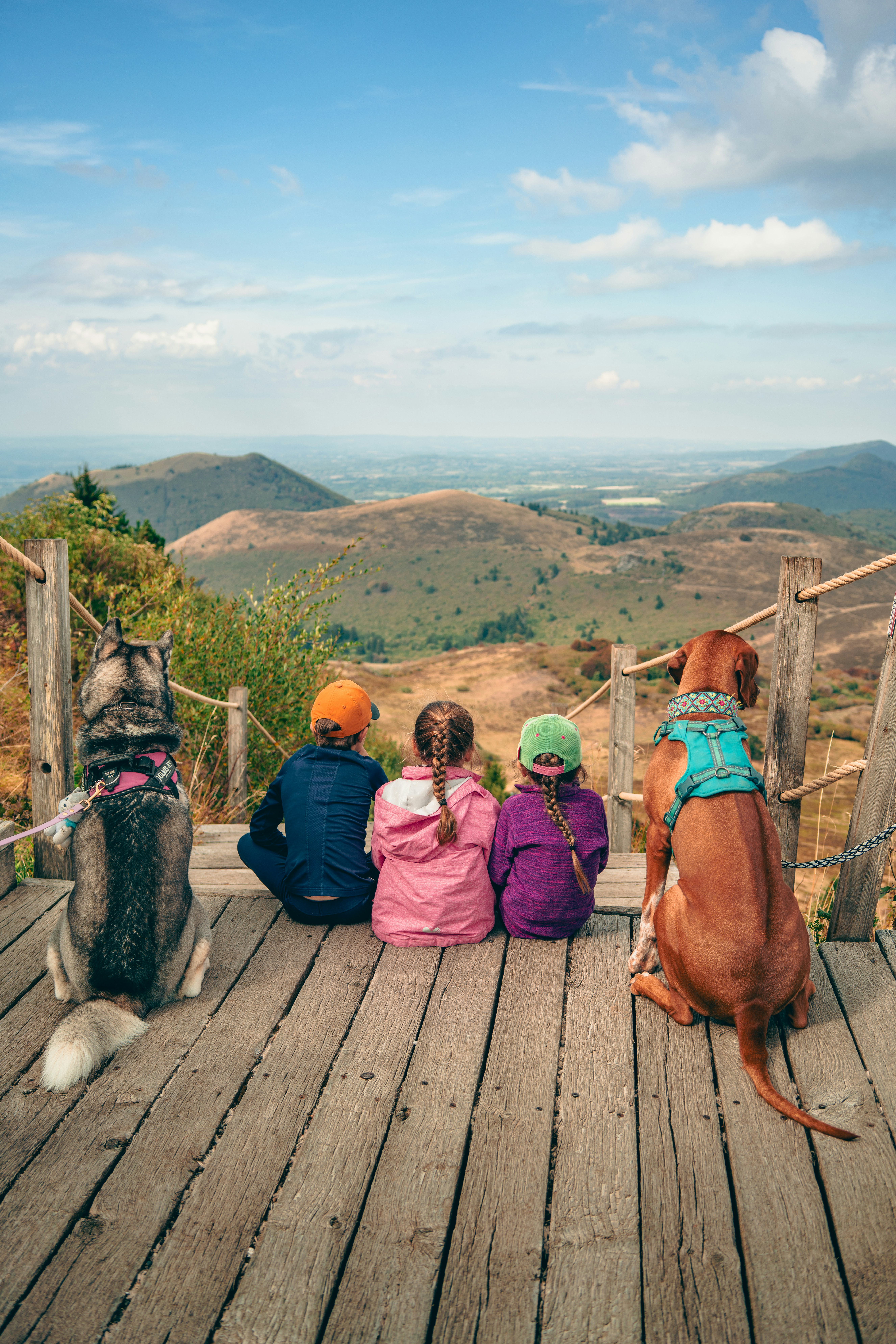Two children and two dogs sitting on a wooden platform overlooking rolling hills