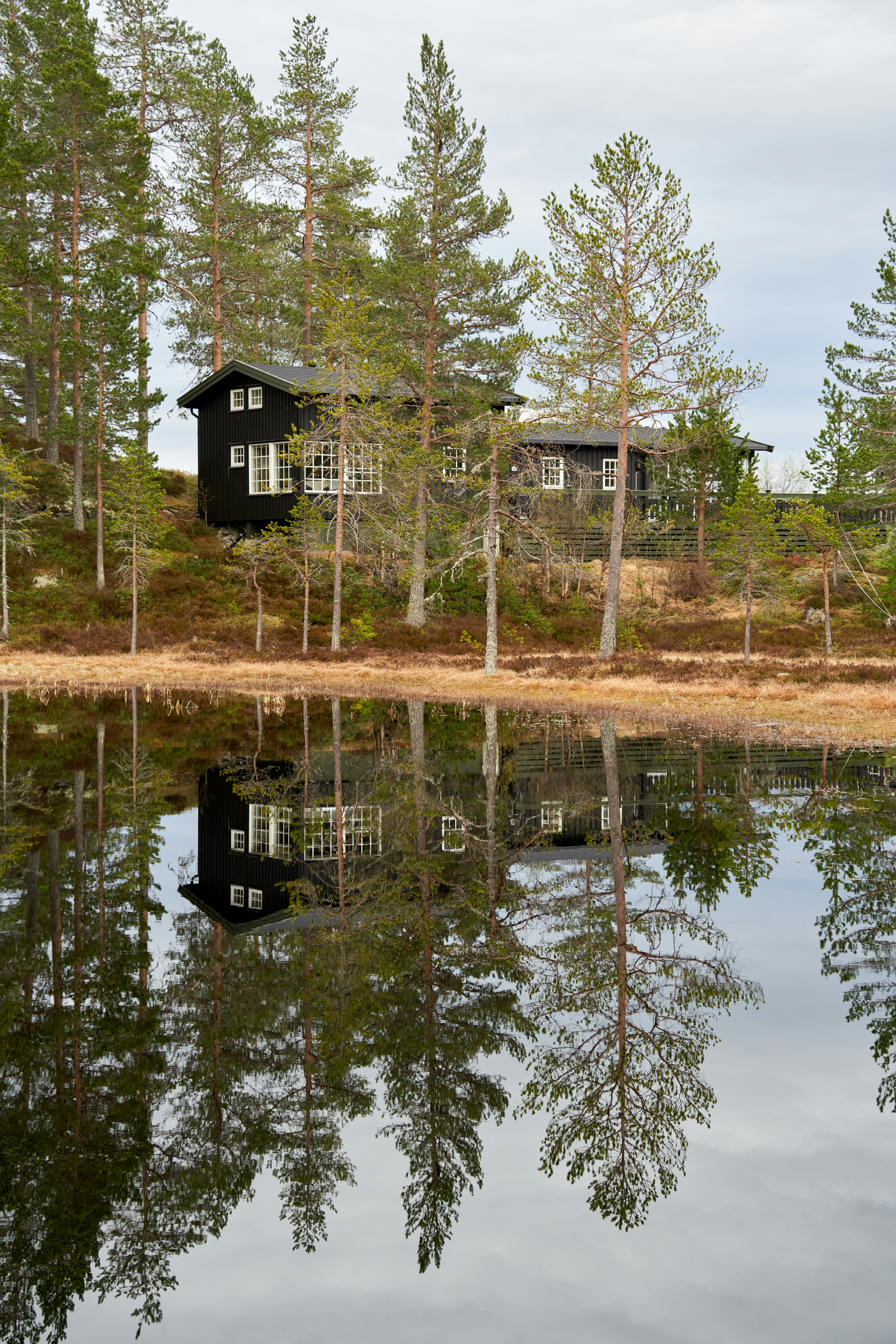 A black wooden cabin in a pine forest reflected in a calm lake