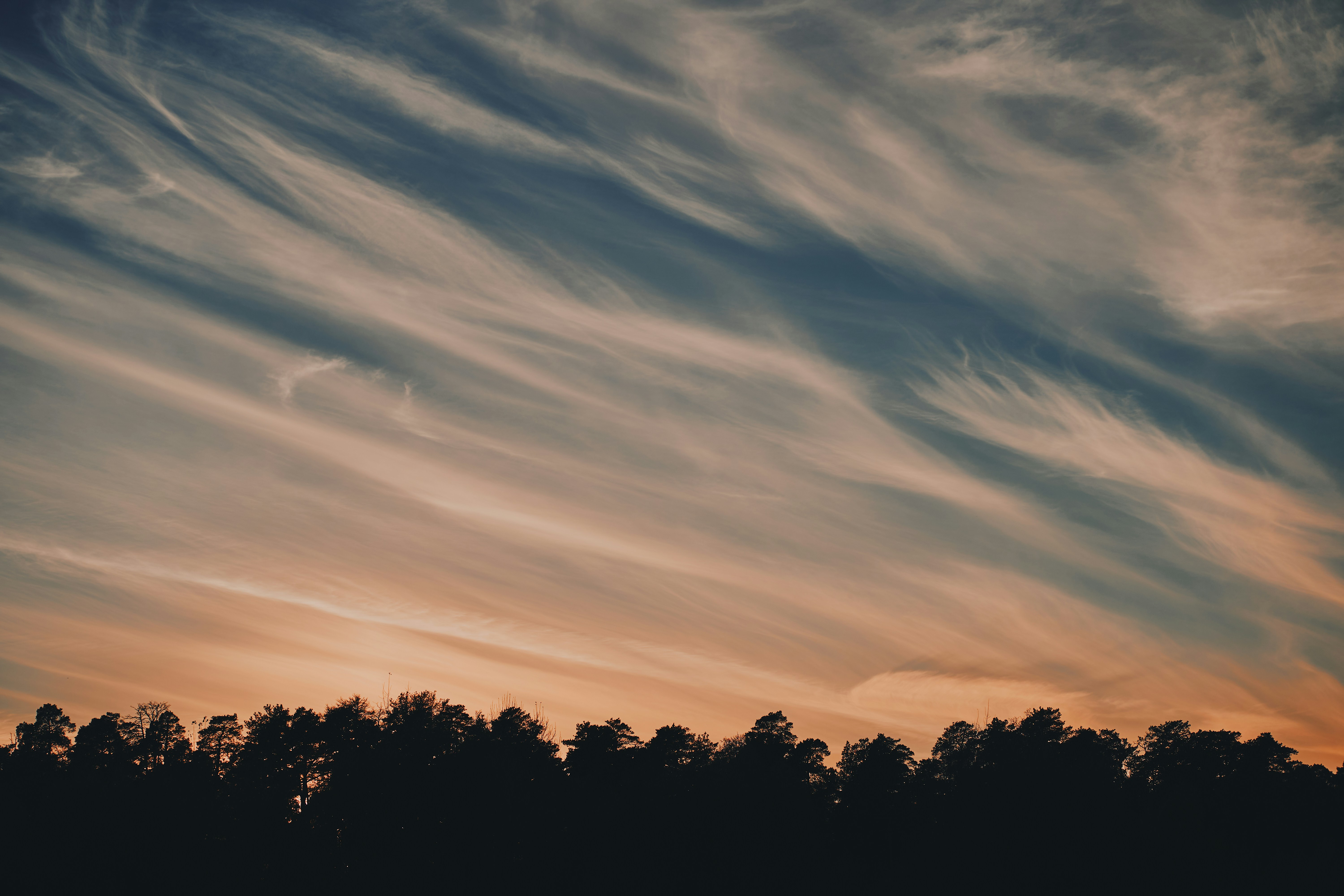 Wispy clouds in a warm orange and blue sky above a dark forest silhouette