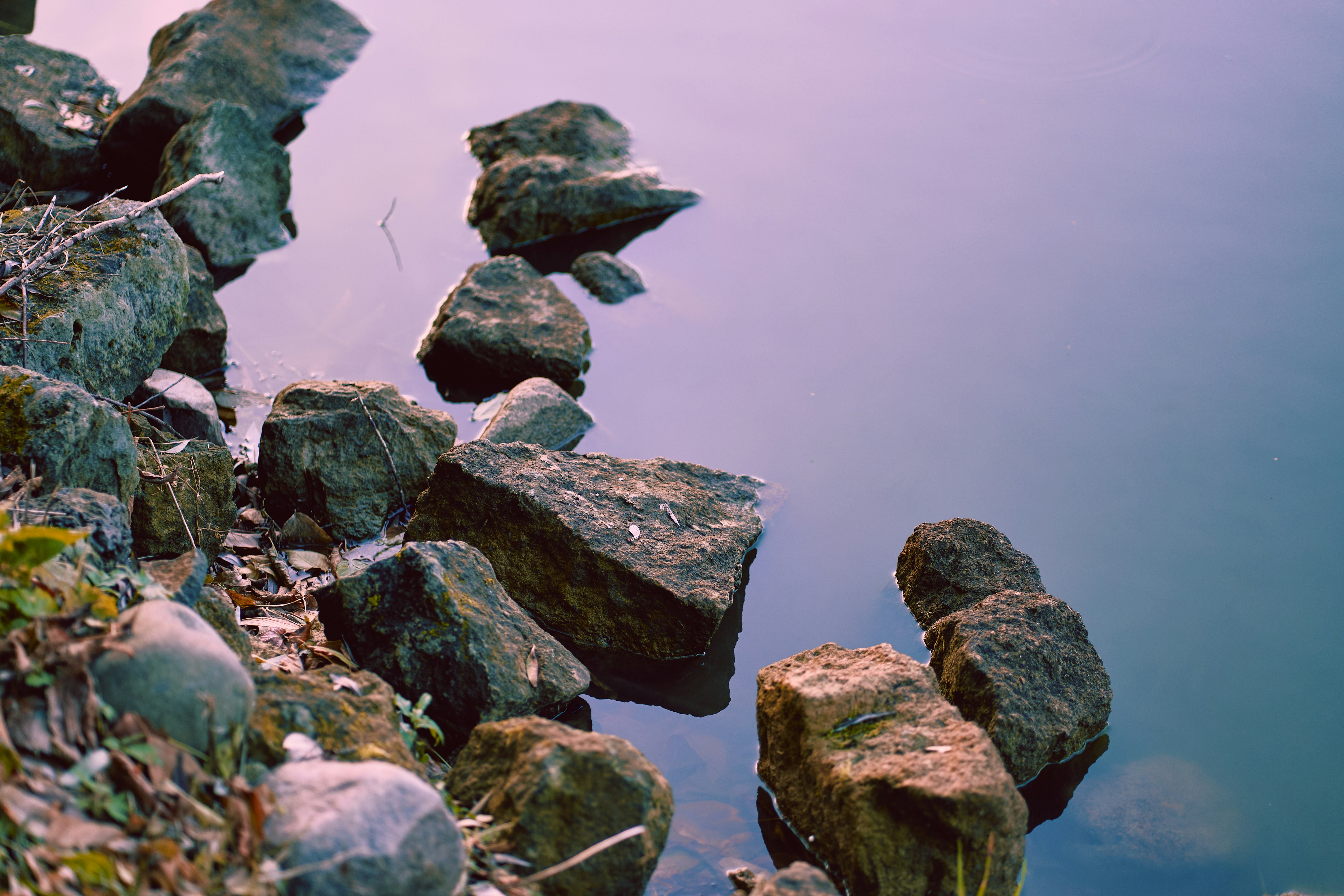 Dark rocks along a calm water edge with soft purple light reflecting on the surface