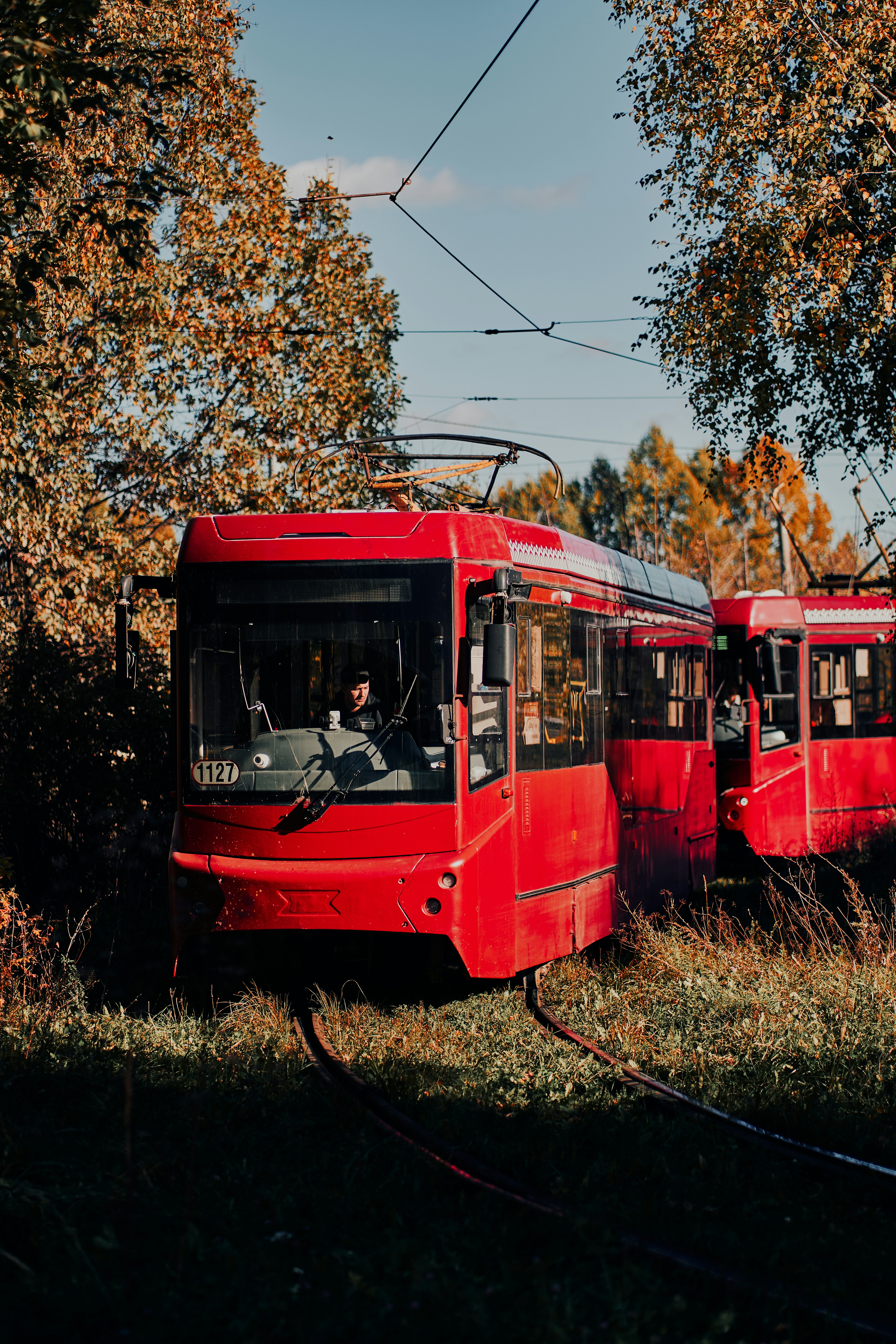 A red tram moving along tracks through a forest with autumn foliage