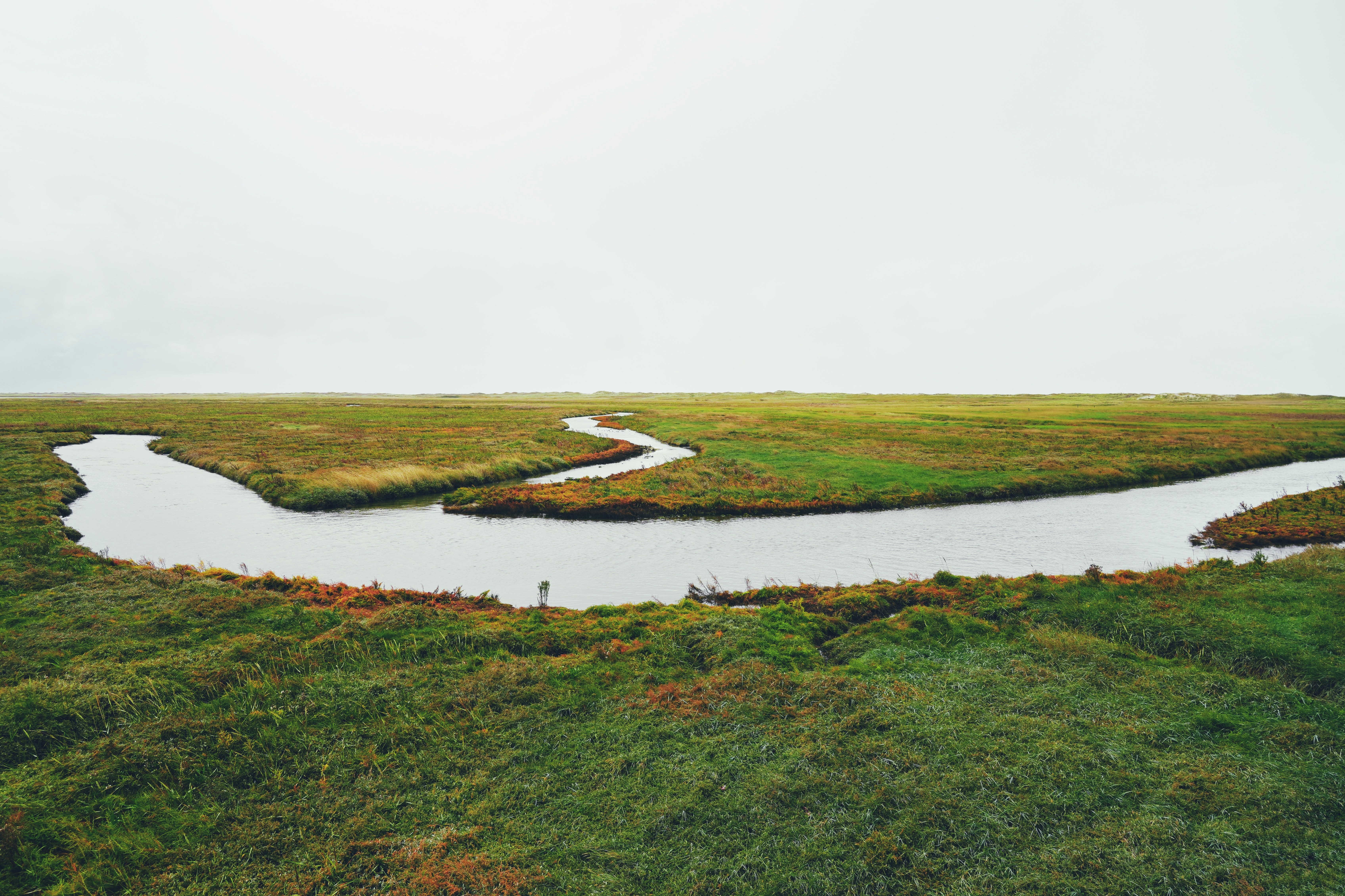 Flusslandschaft