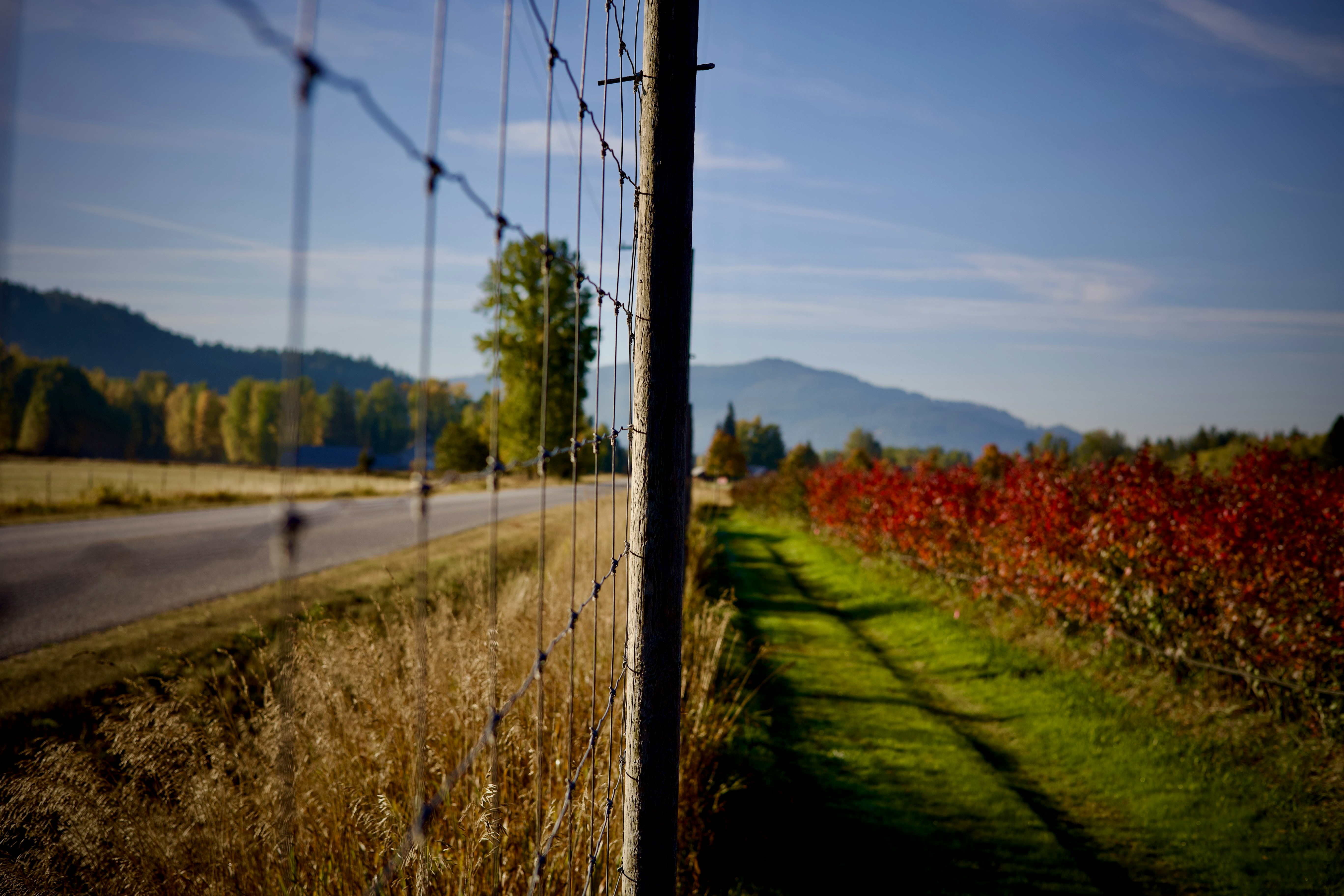 A wire fence along a rural road with autumn foliage and distant mountains