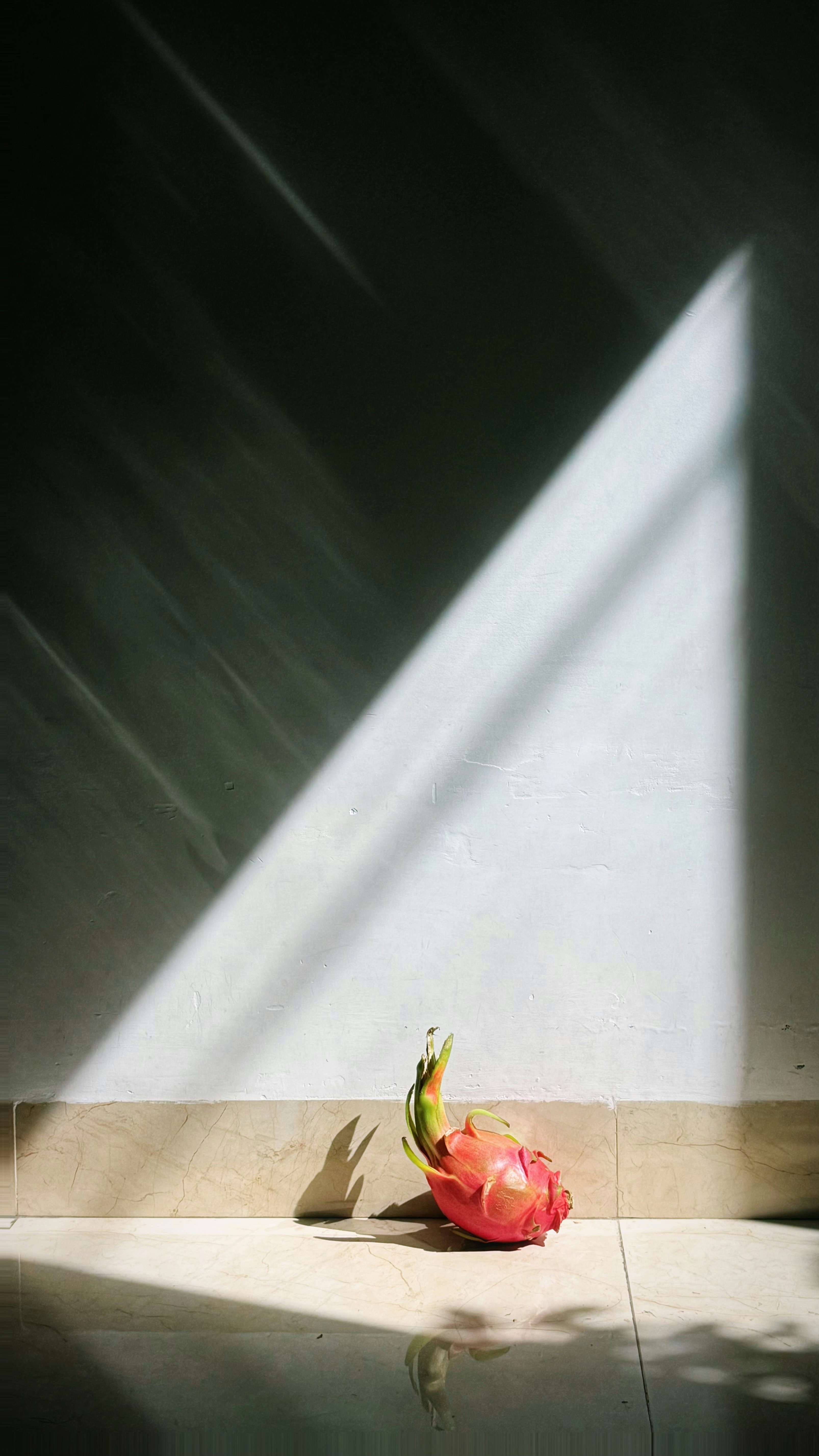 A dragon fruit on a tiled floor in a sharp diagonal beam of light