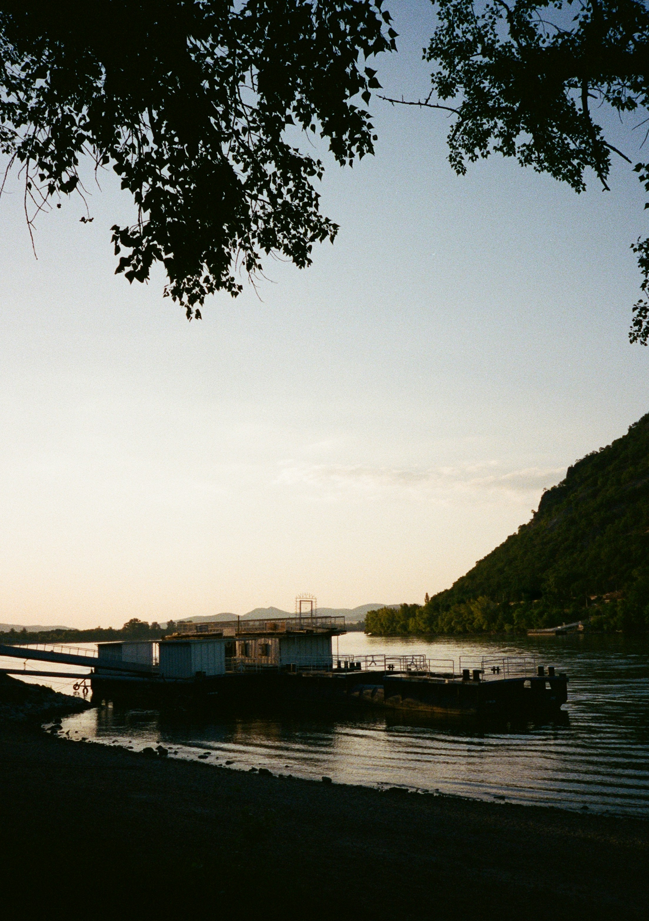 Ein schwimmender Steg an einem ruhigen Fluss zur goldenen Stunde mit einer Baumsilhouette darüber