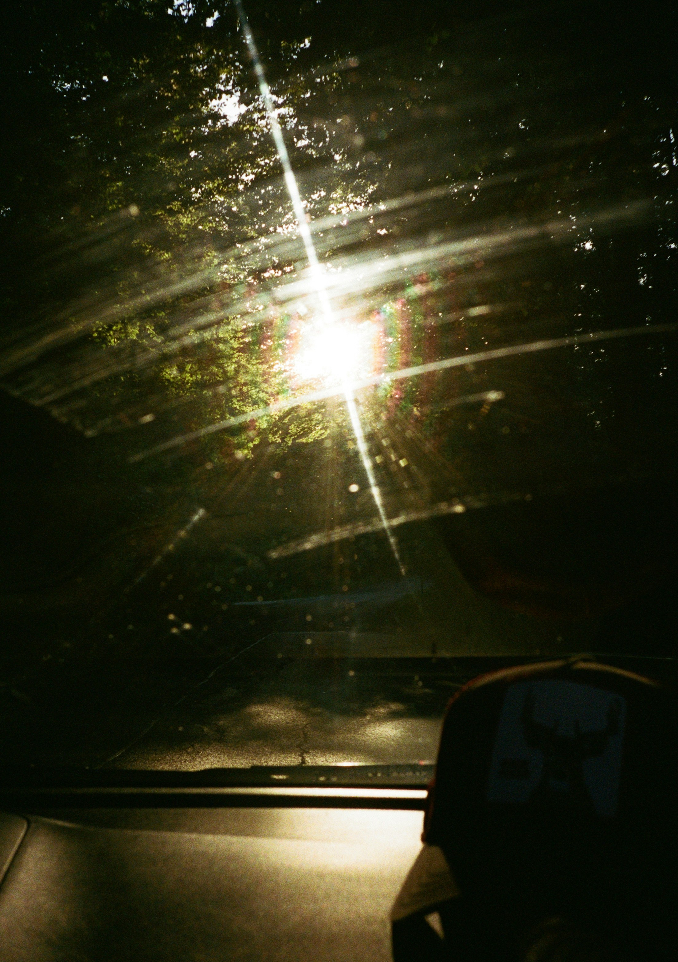 Helles Sonnenlicht, das durch Baumblätter auf eine Autoscheibe mit Lens Flare fällt