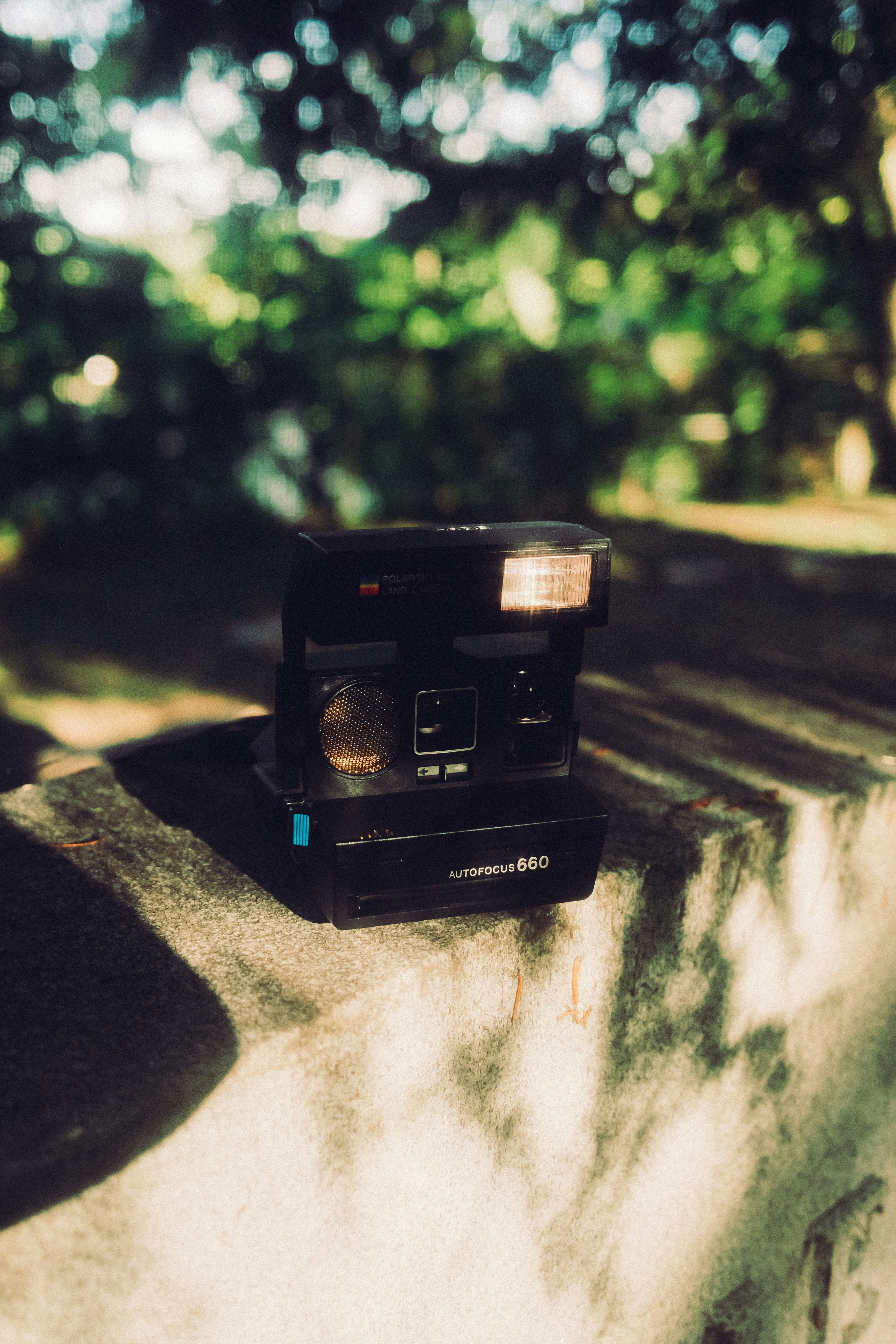 A black Polaroid 660 instant camera on a stone wall with a blurred green background