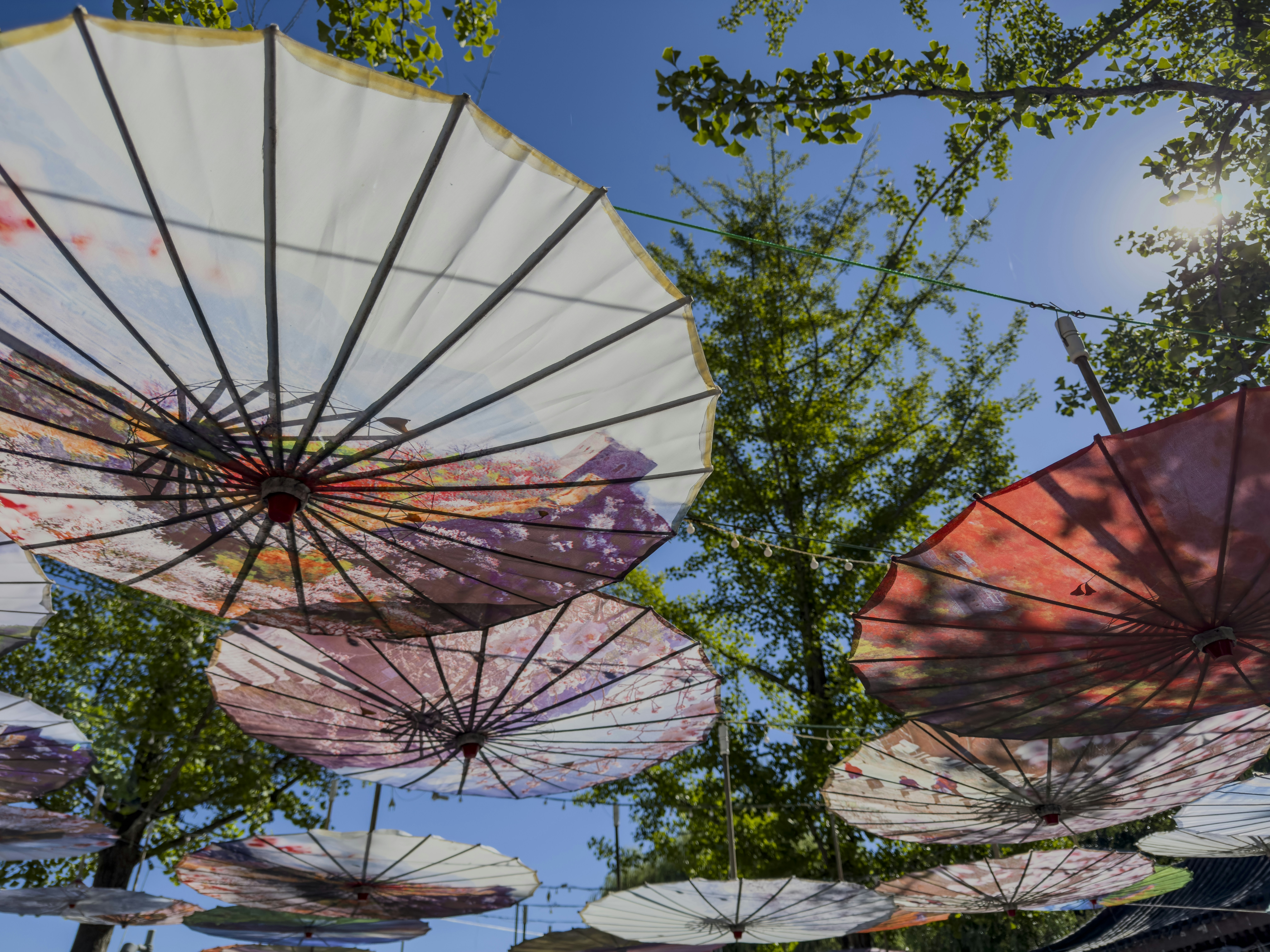 Colorful paper umbrellas suspended in the air beneath green tree branches against a clear blue sky