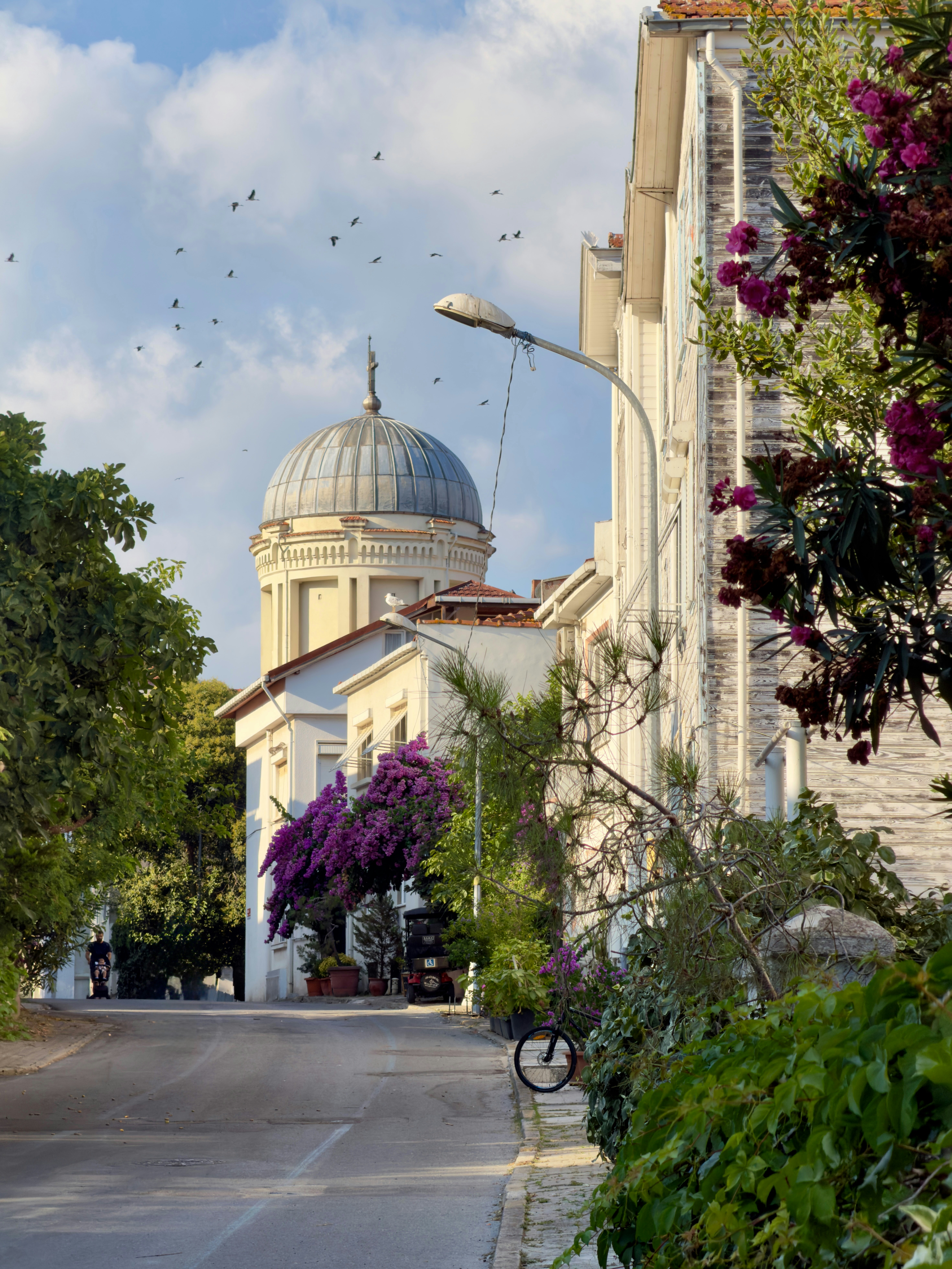 A street with a domed building in the distance under a sky with birds