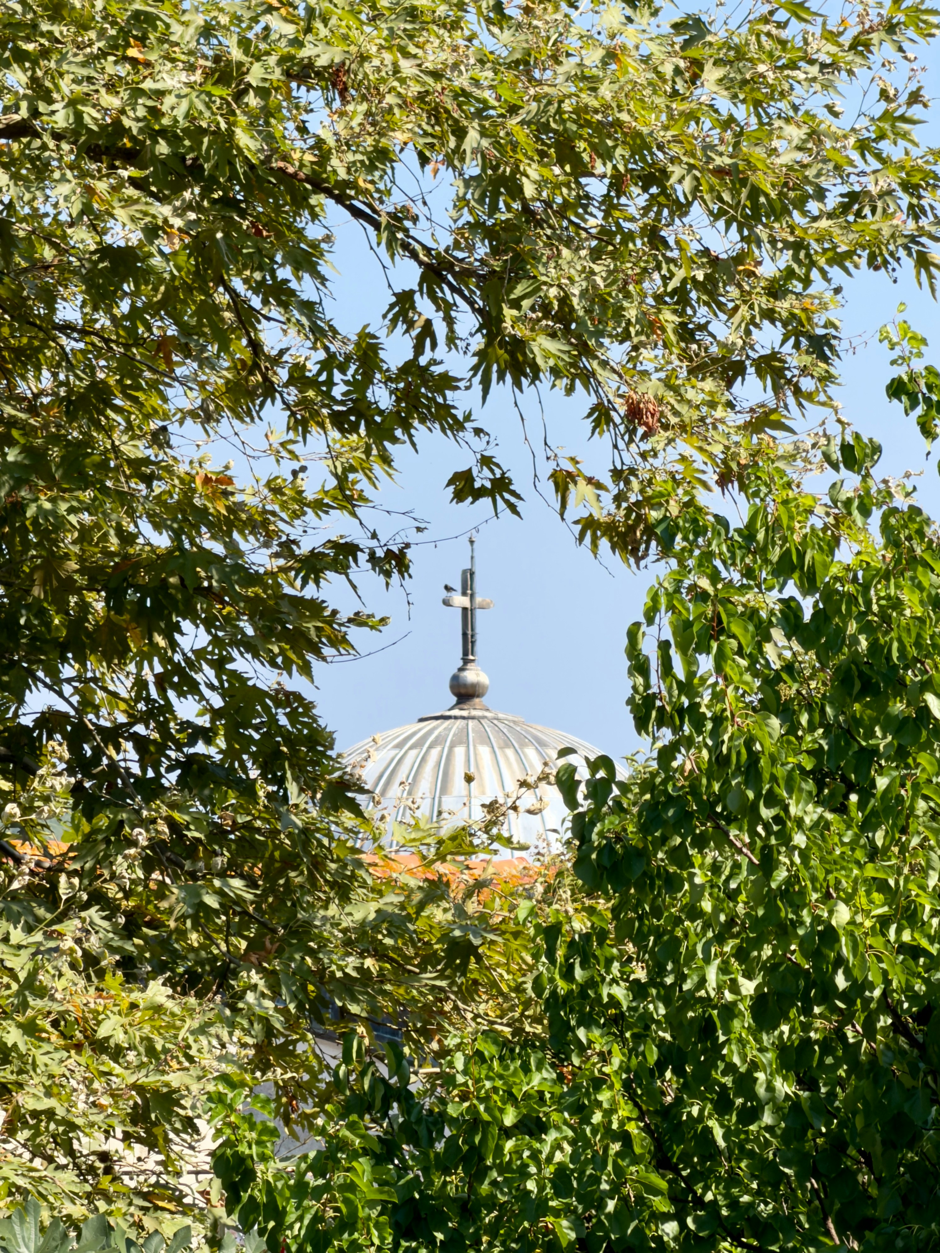A metal cross atop a domed roof framed by lush green tree branches