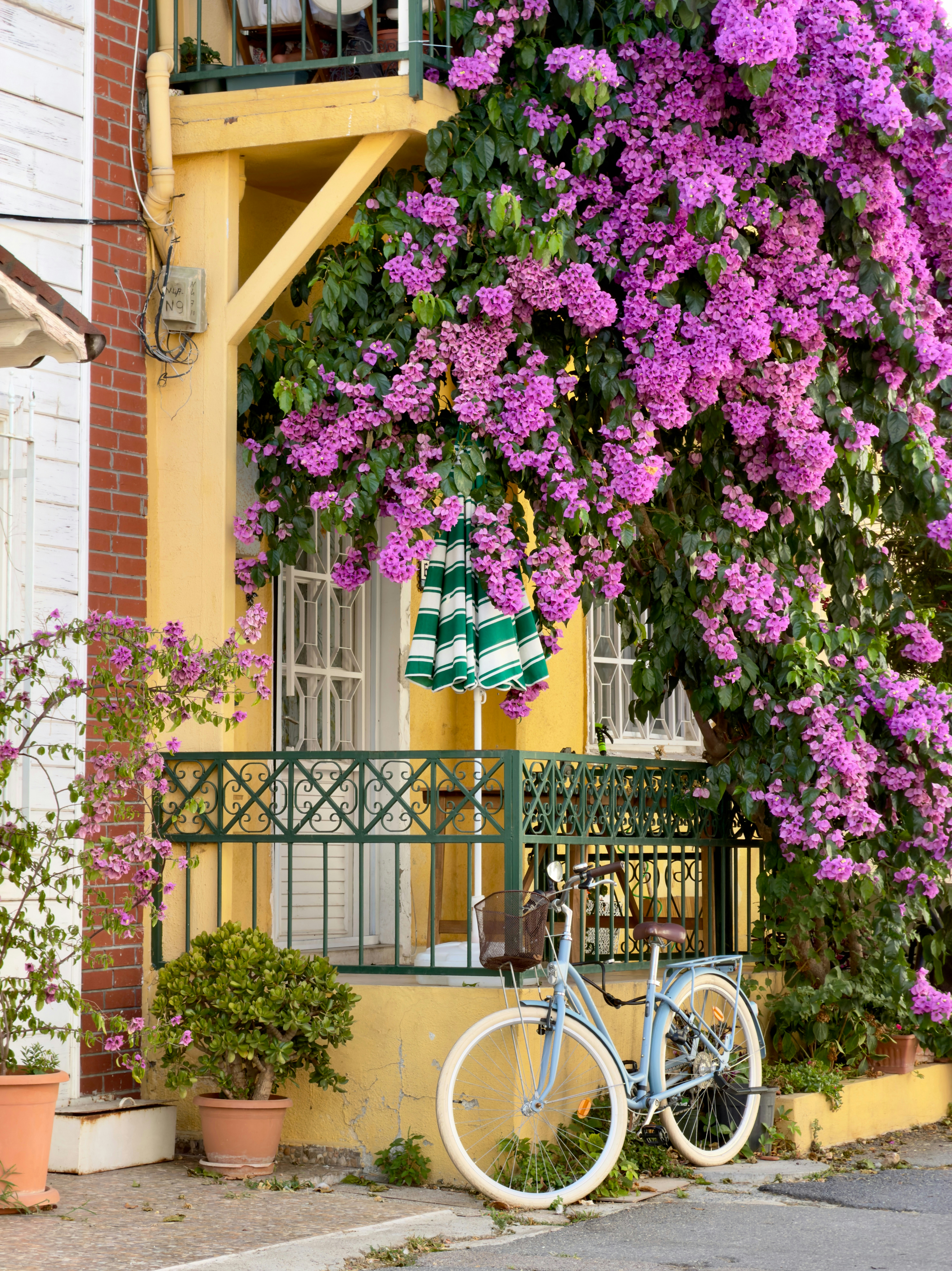 A light blue bicycle parked in front of a yellow house with vibrant purple bougainvillea