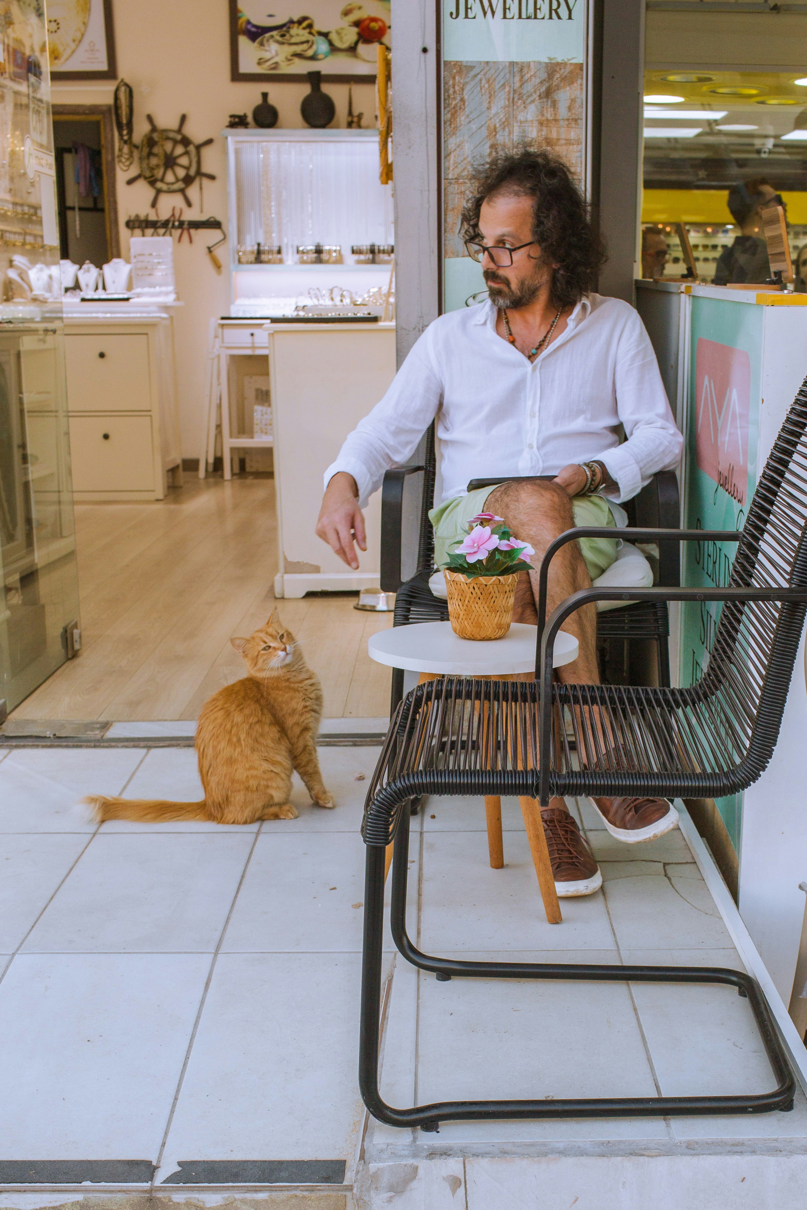 白いシャツを着た男が椅子に座り、オレンジ色の猫と交流している