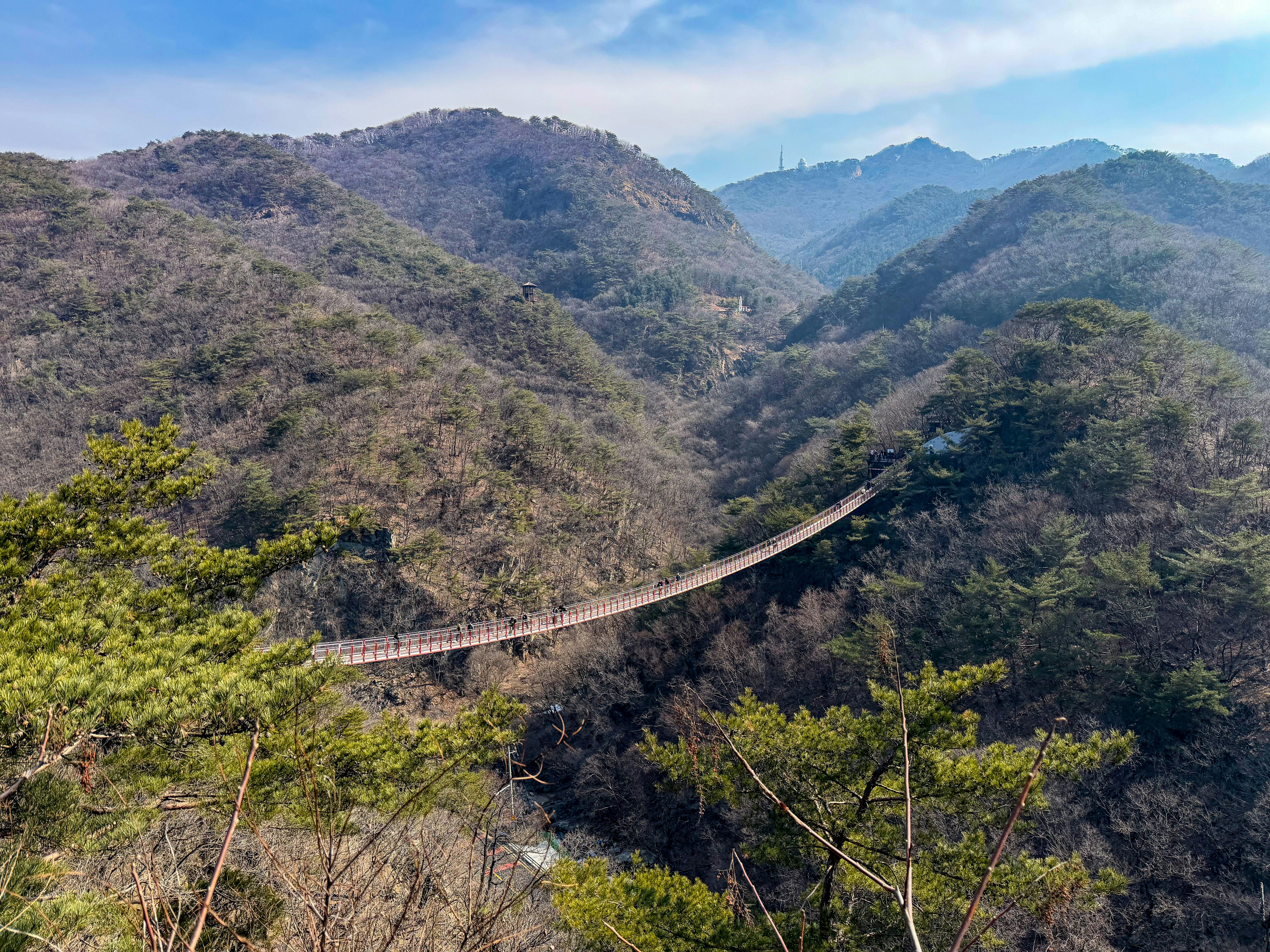 Suspension bridge in forested mountain valley - Free Photo on Unsplash