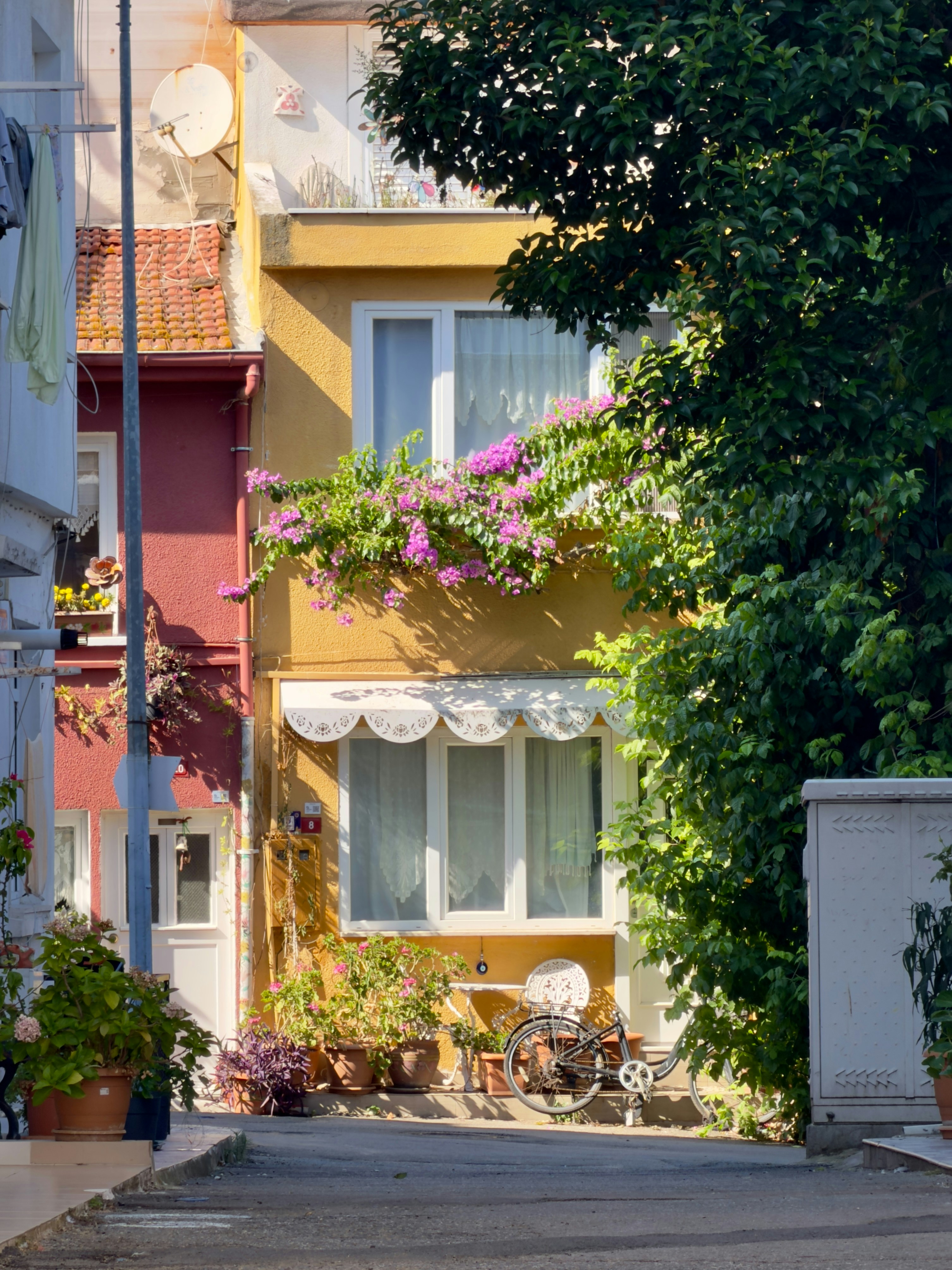 A yellow house with pink bougainvillea and a bicycle parked in front on a sunny street