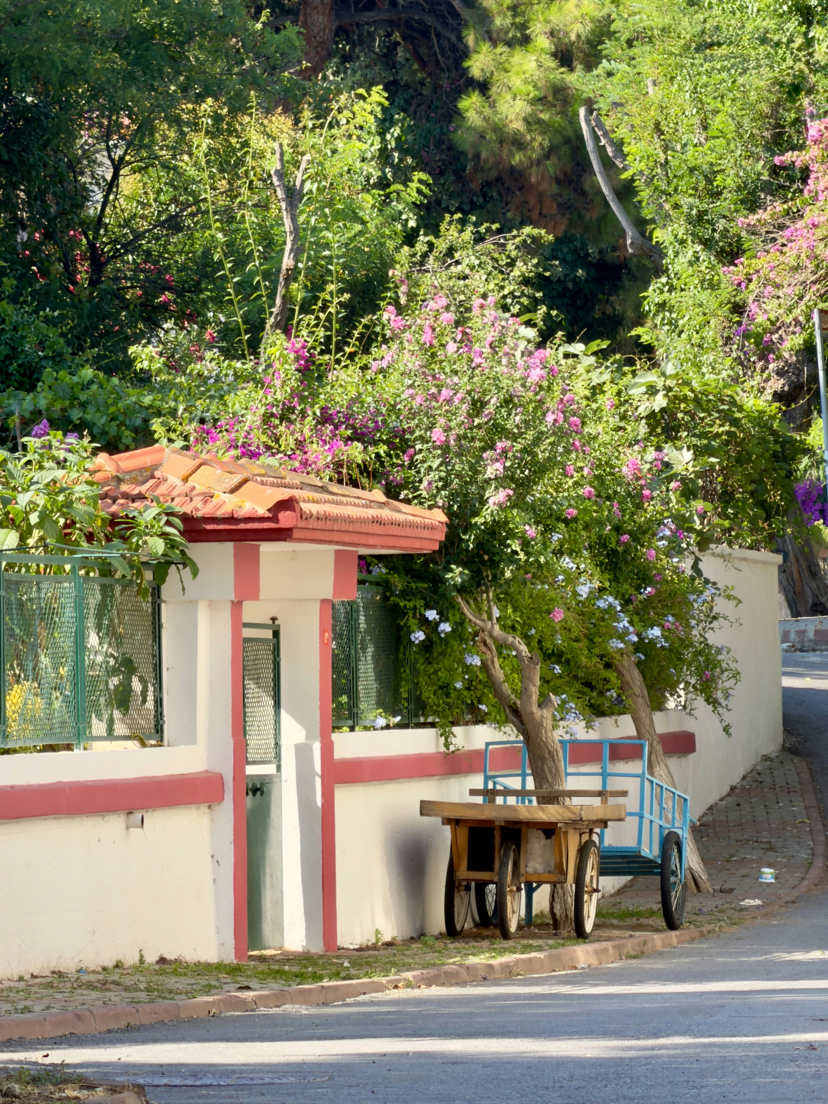 A wooden cart parked beside a white wall with pink flowers and a tiled gate