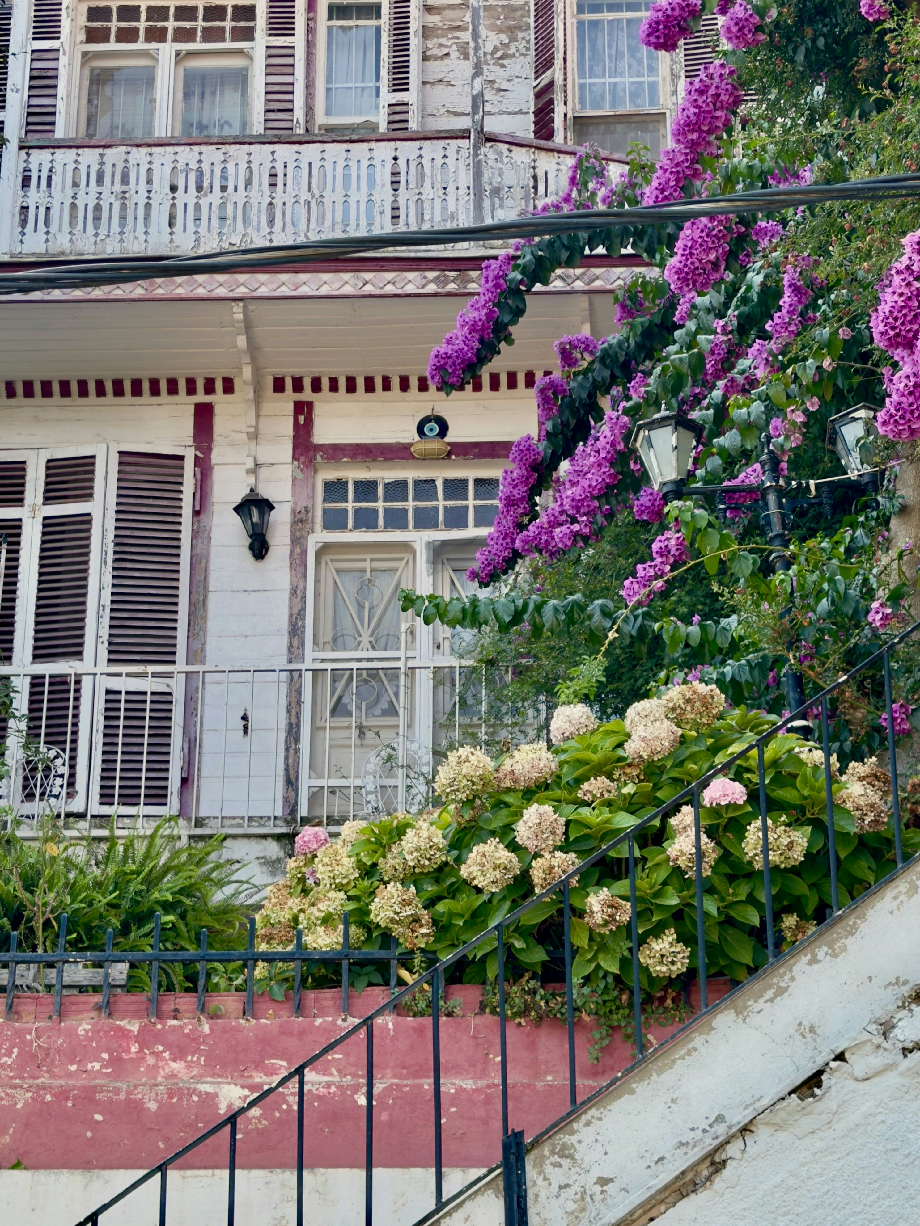 A white wooden house with purple bougainvillea and hydrangeas behind a black metal railing