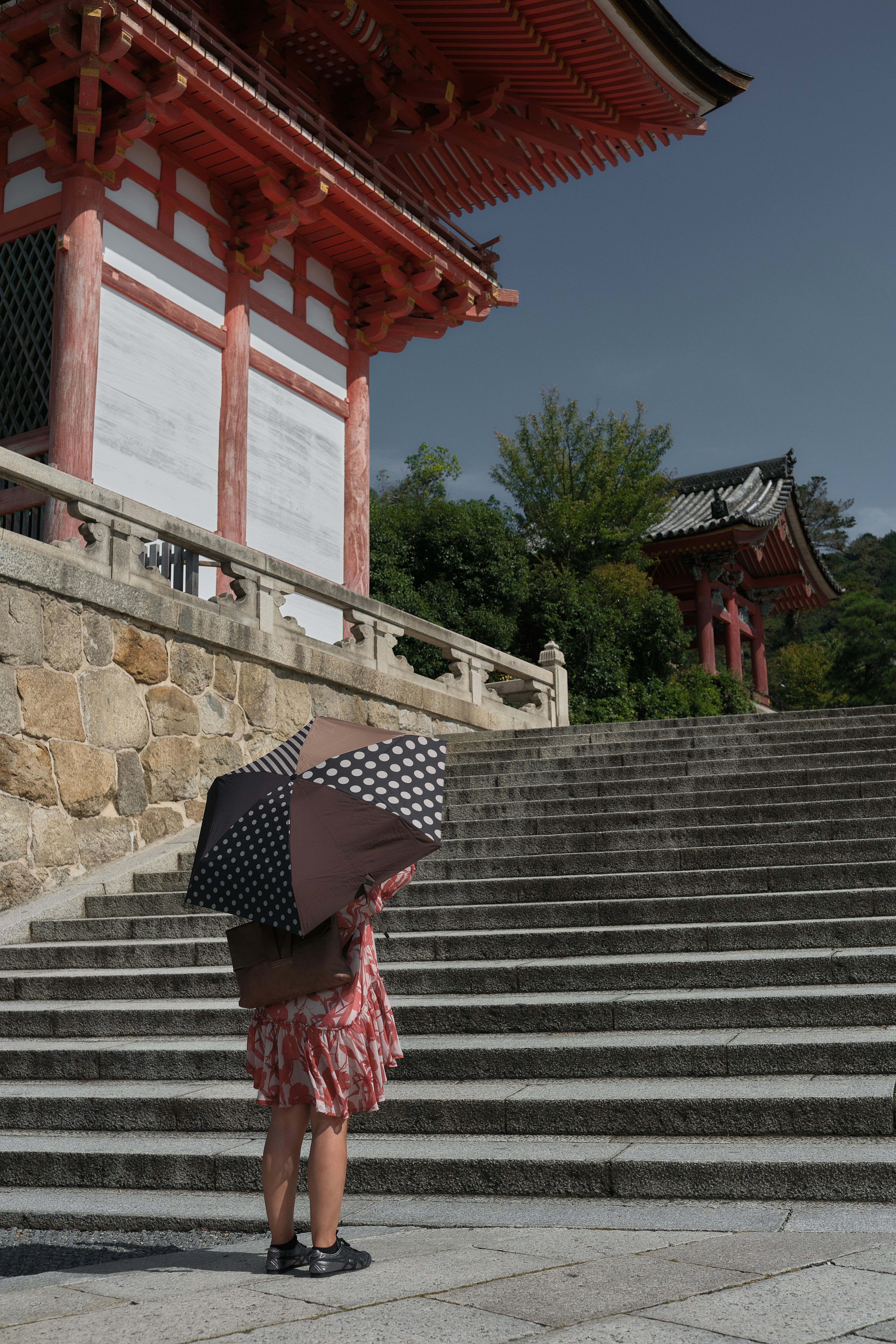 Where to Eat and Drink in Kimono