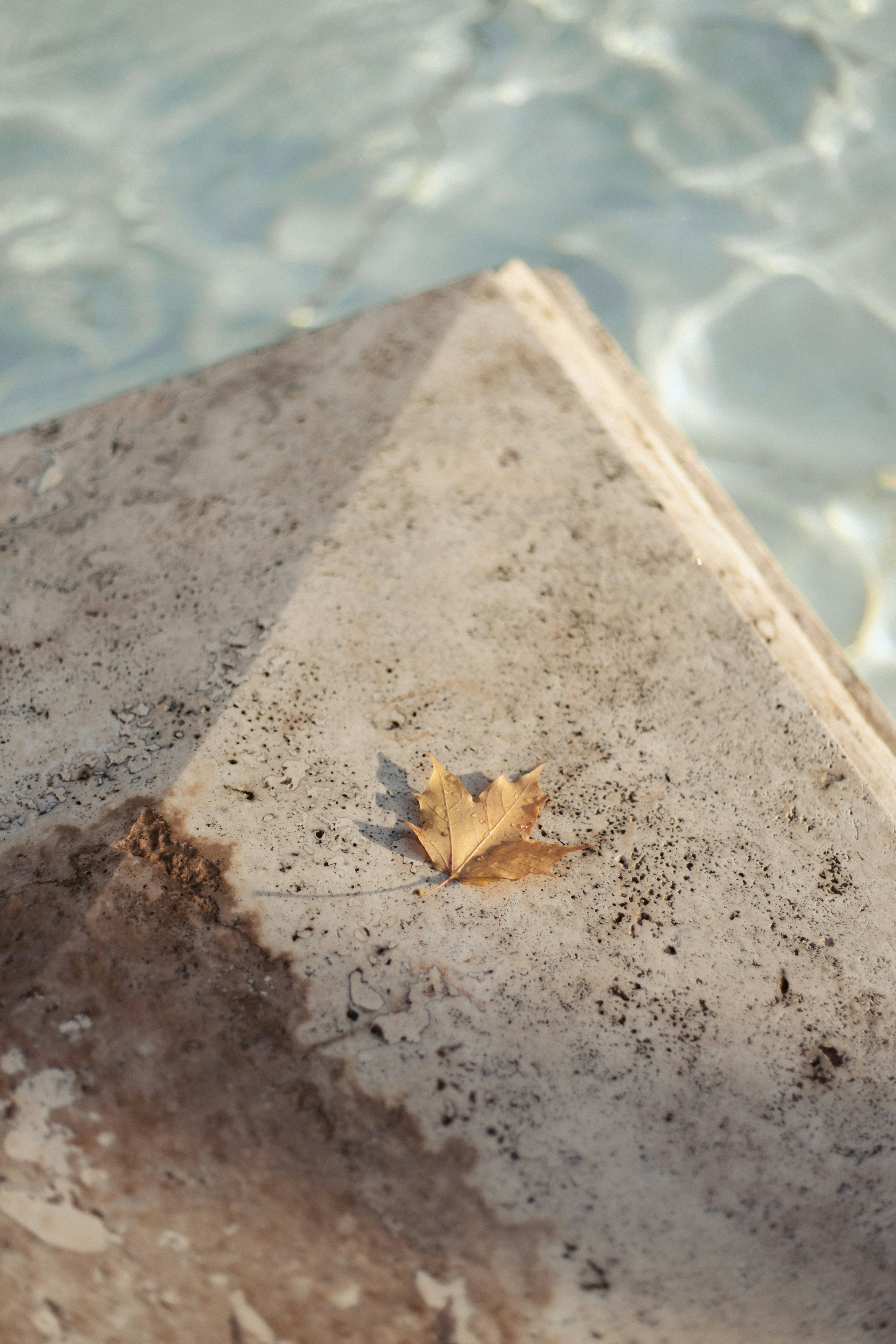 A single golden maple leaf on a textured stone ledge beside rippling water
