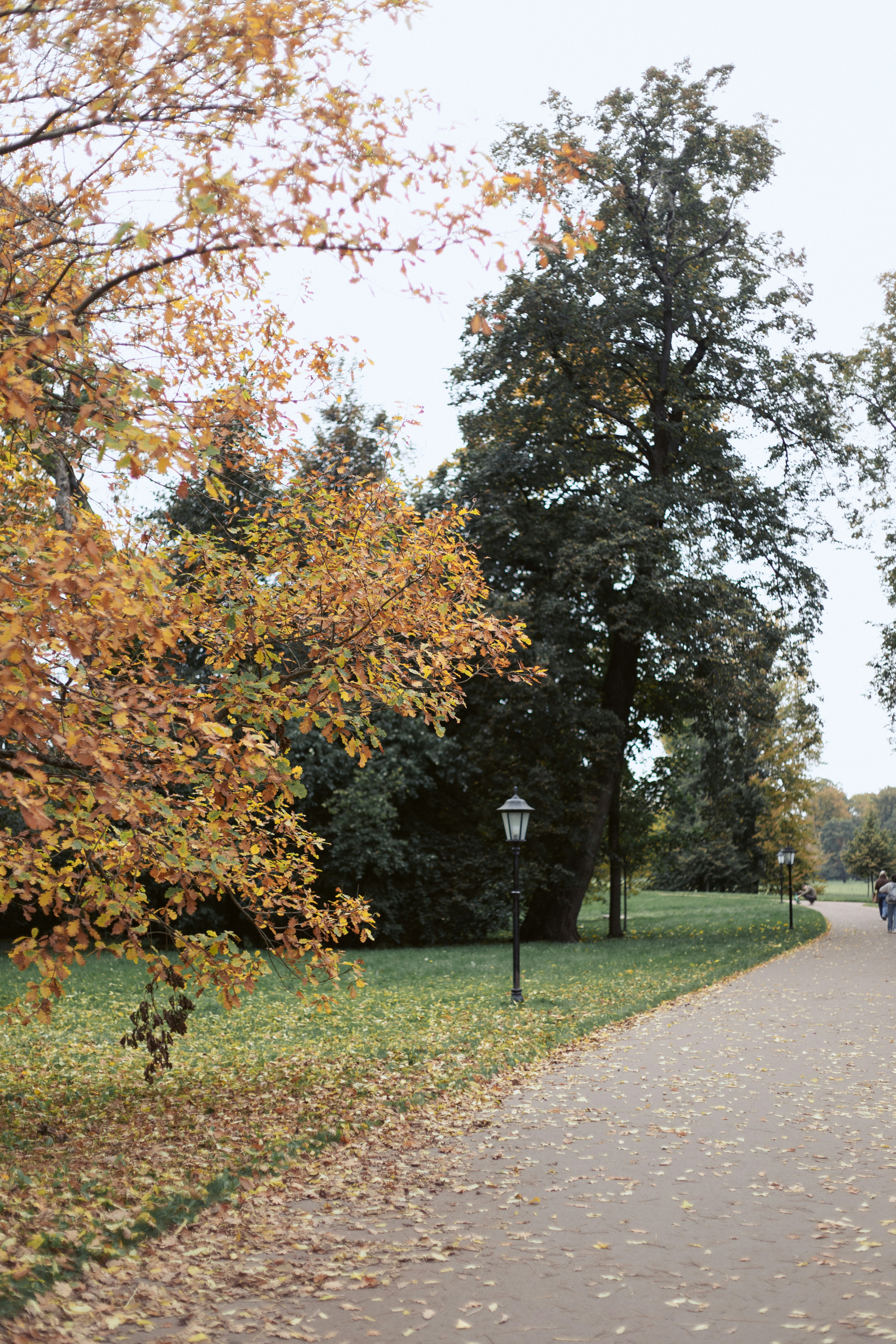 A paved path through a park with autumn trees and vintage street lamps