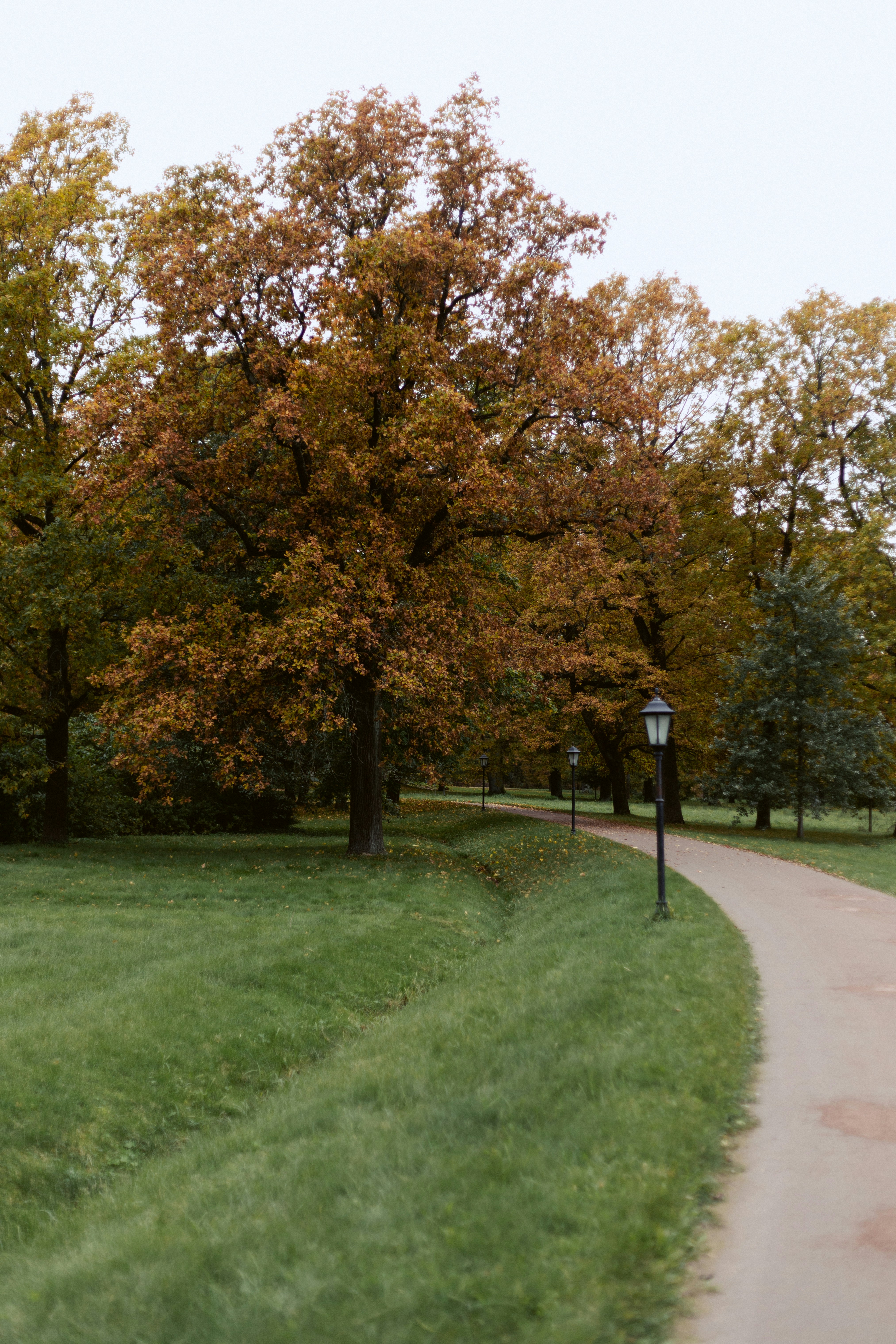 A winding path through a park with autumn trees and vintage street lamps