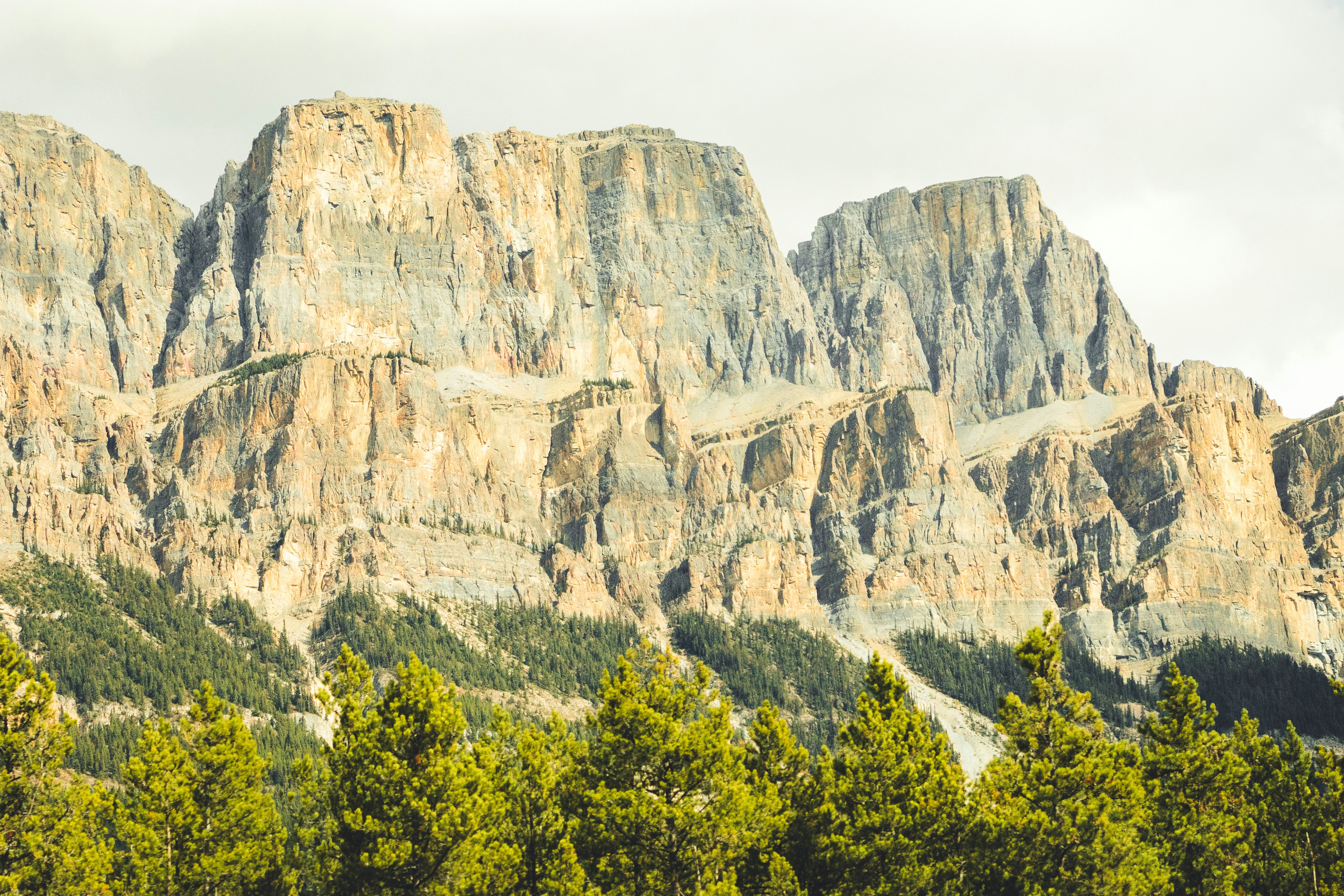 Rocky mountain face above pine forest - Free Photo on Unsplash