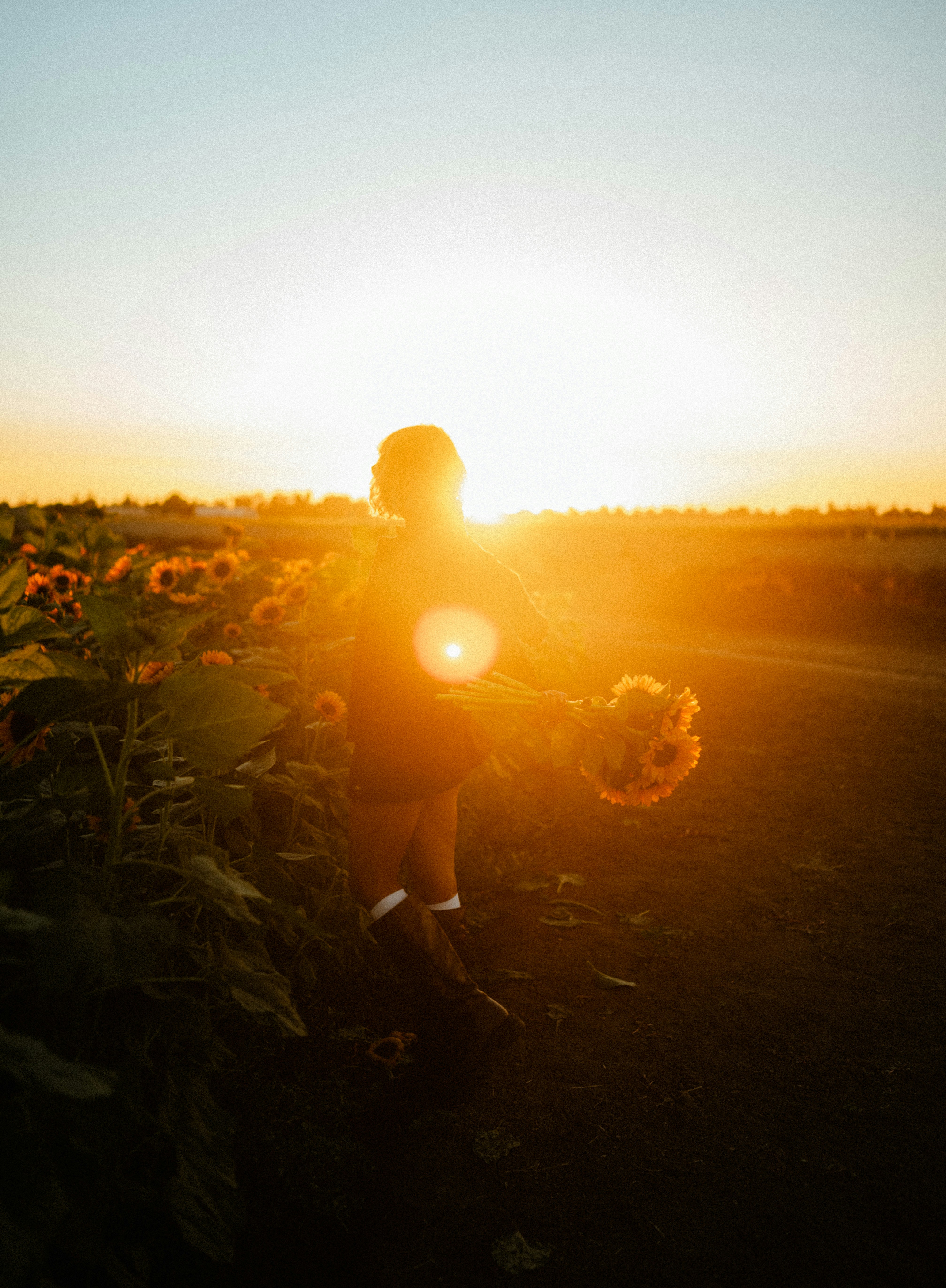 A person in silhouette holding a bouquet of sunflowers in a field during golden hour — Bobby Thapa