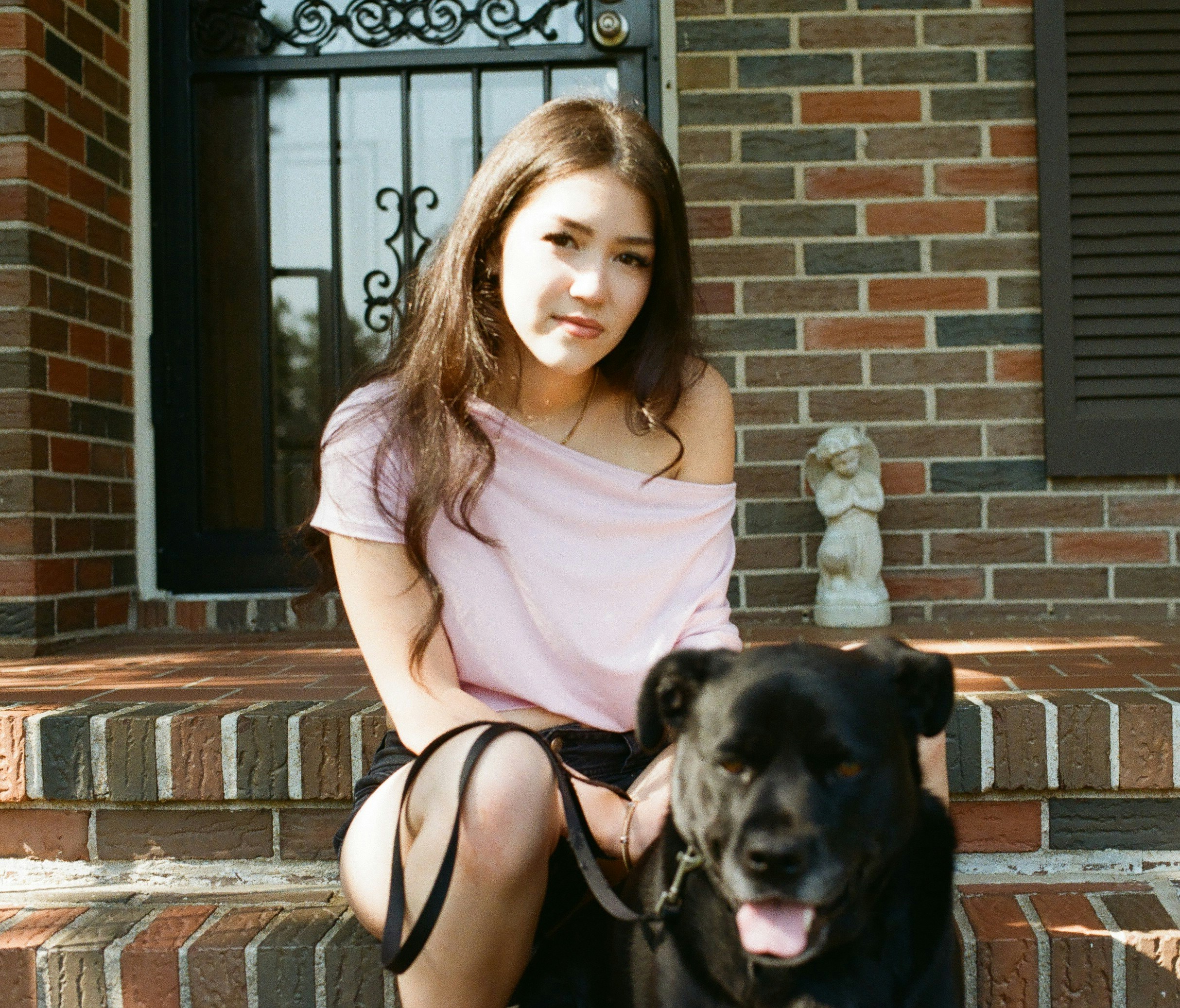 The Places That Made Them: Why Where You Shoot Your Pet's Portrait Changes Everything