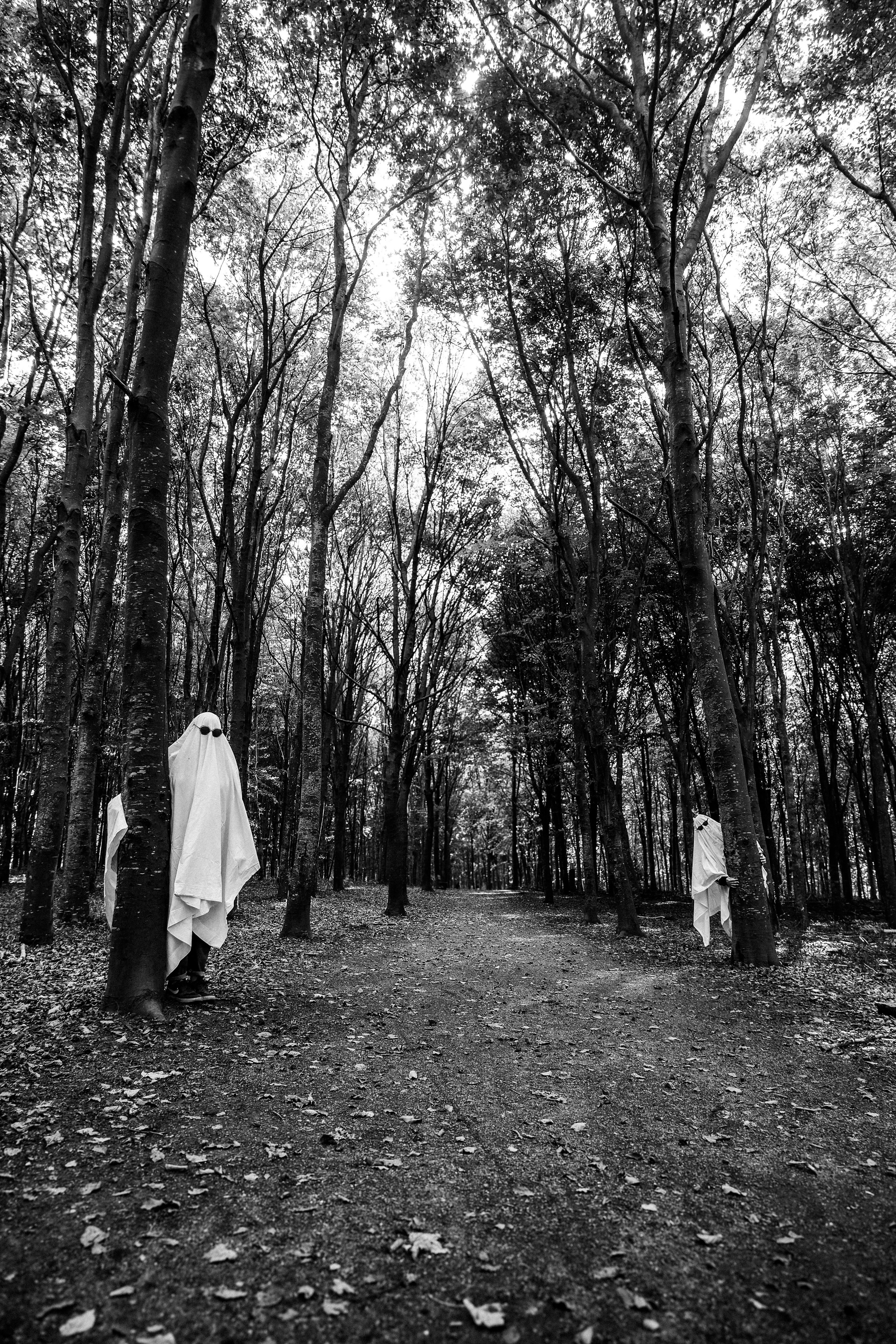Two people in white sheet ghost costumes with sunglasses standing behind trees in a forest