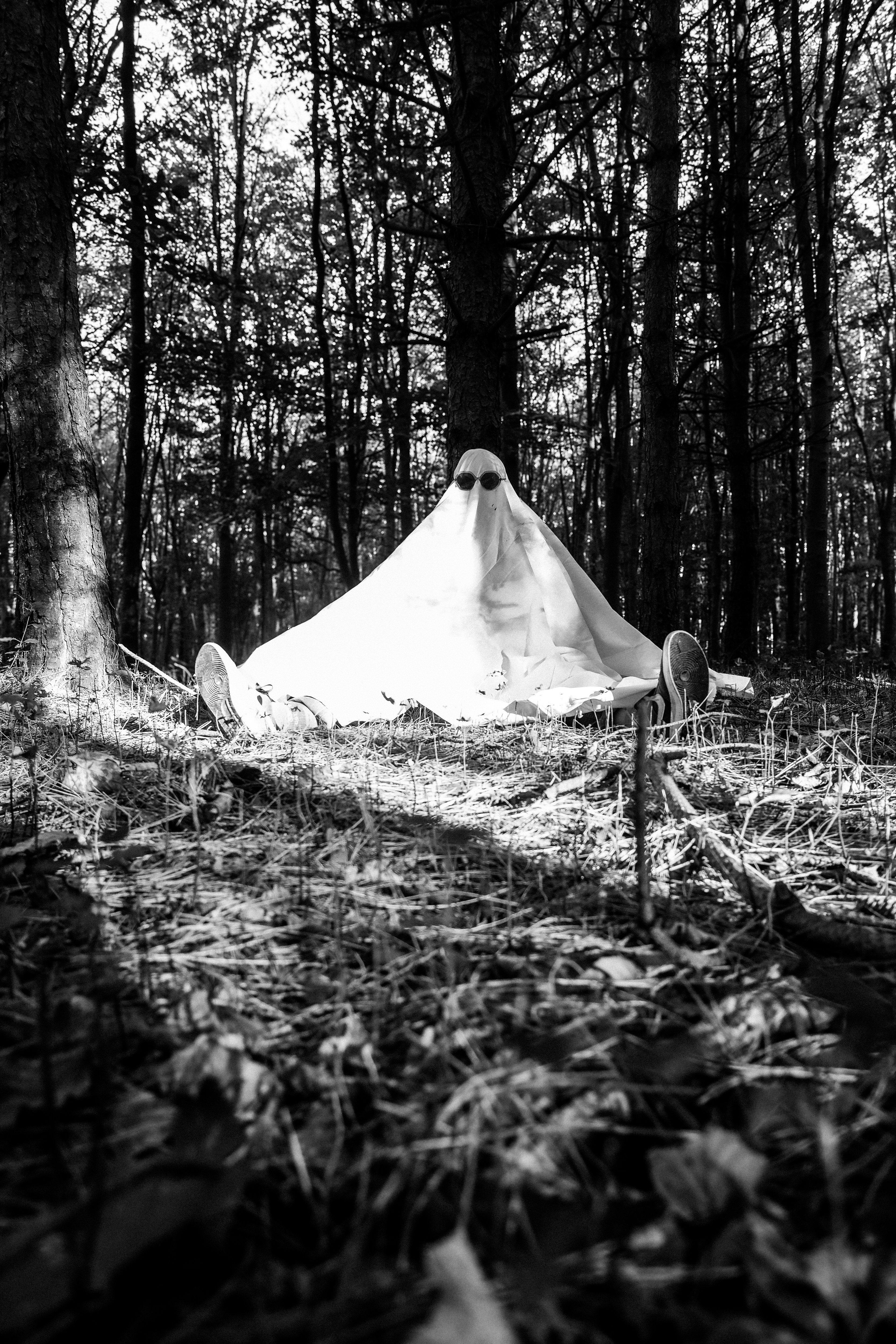 A person in a white sheet costume and sunglasses sitting on the forest floor