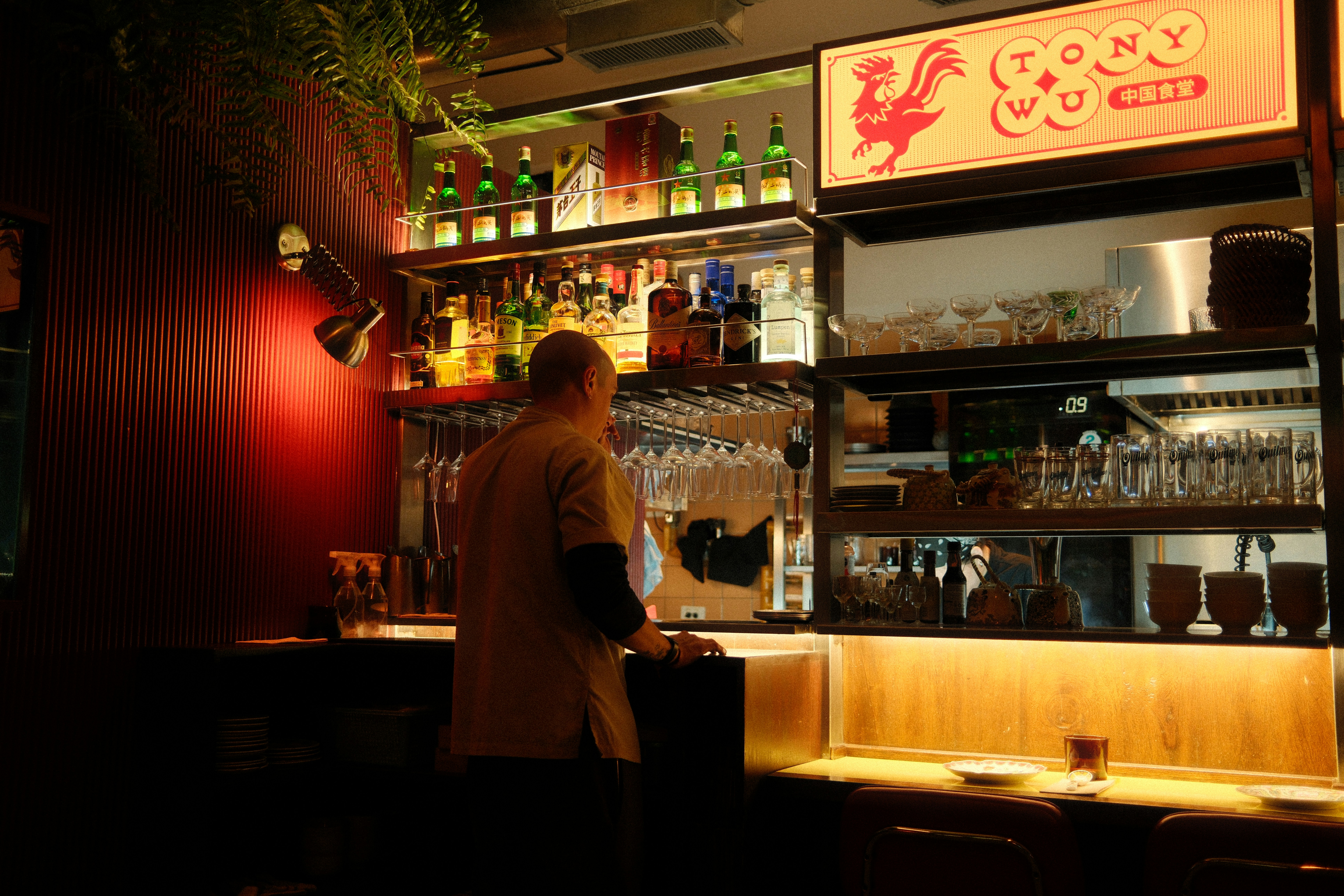 Person at bar with liquor shelves - Free Photo on Unsplash