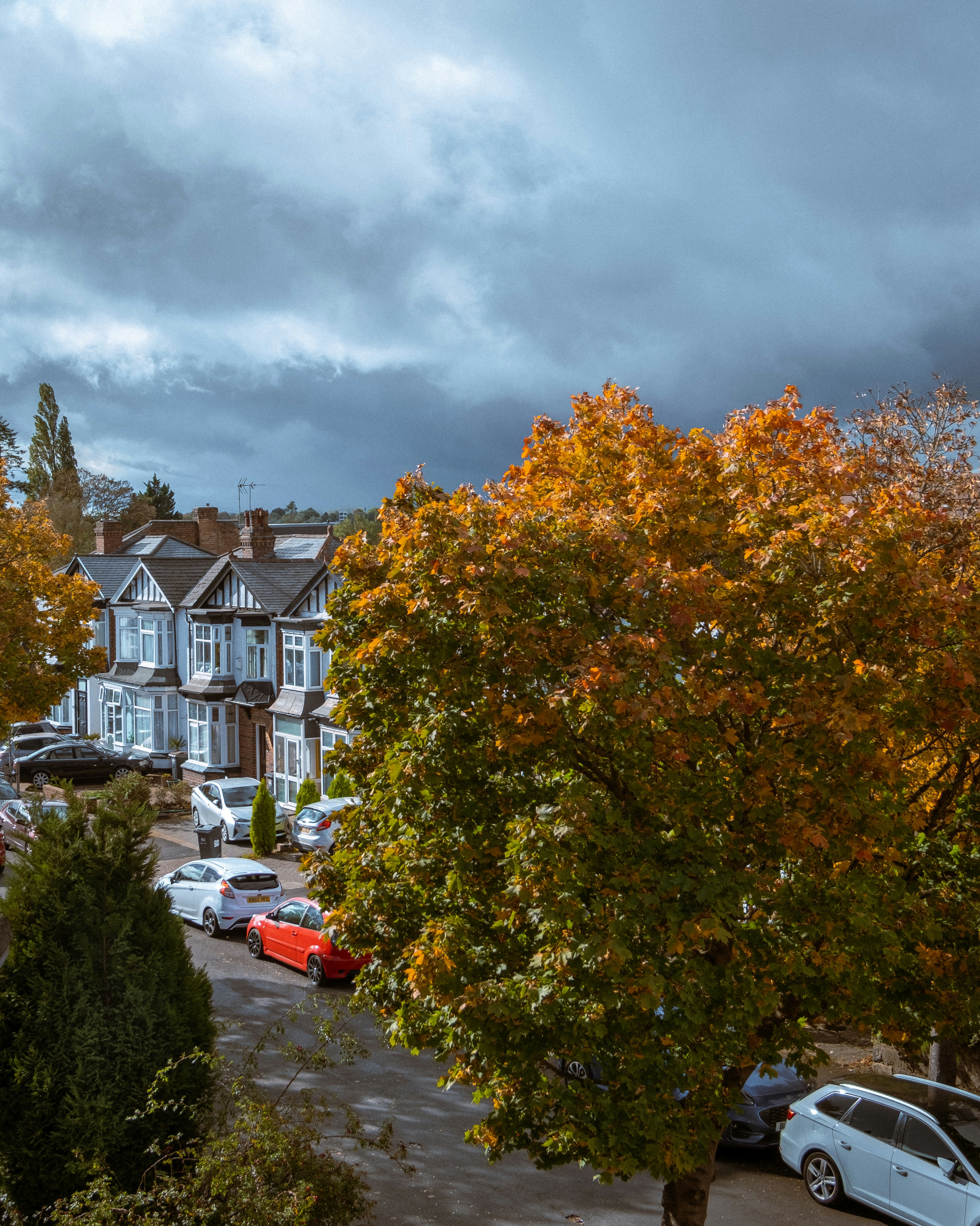 Casas residenciales rodeadas de árboles con colores de otoño