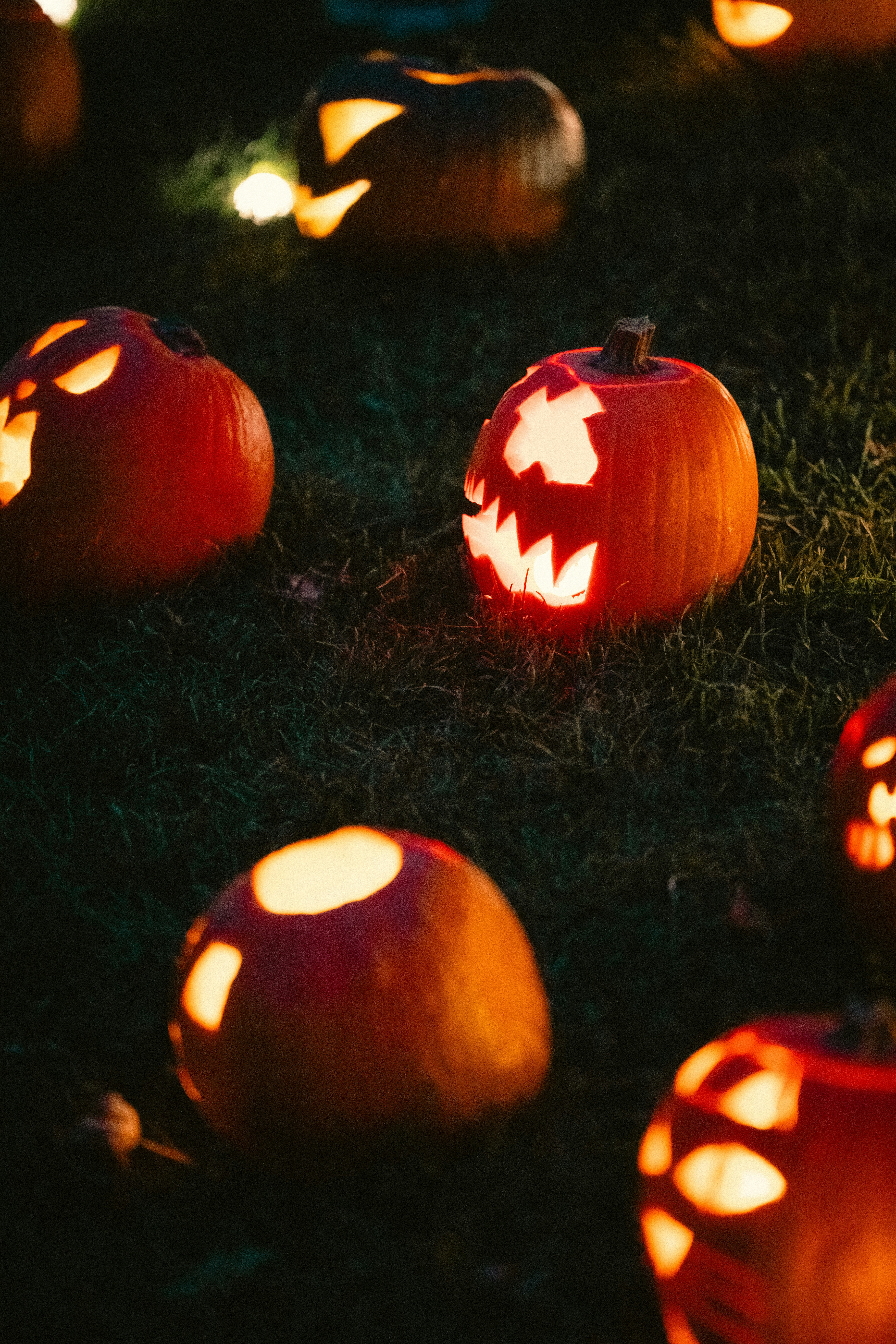 Carved jack-o'-lanterns glowing on a dark grassy lawn at night