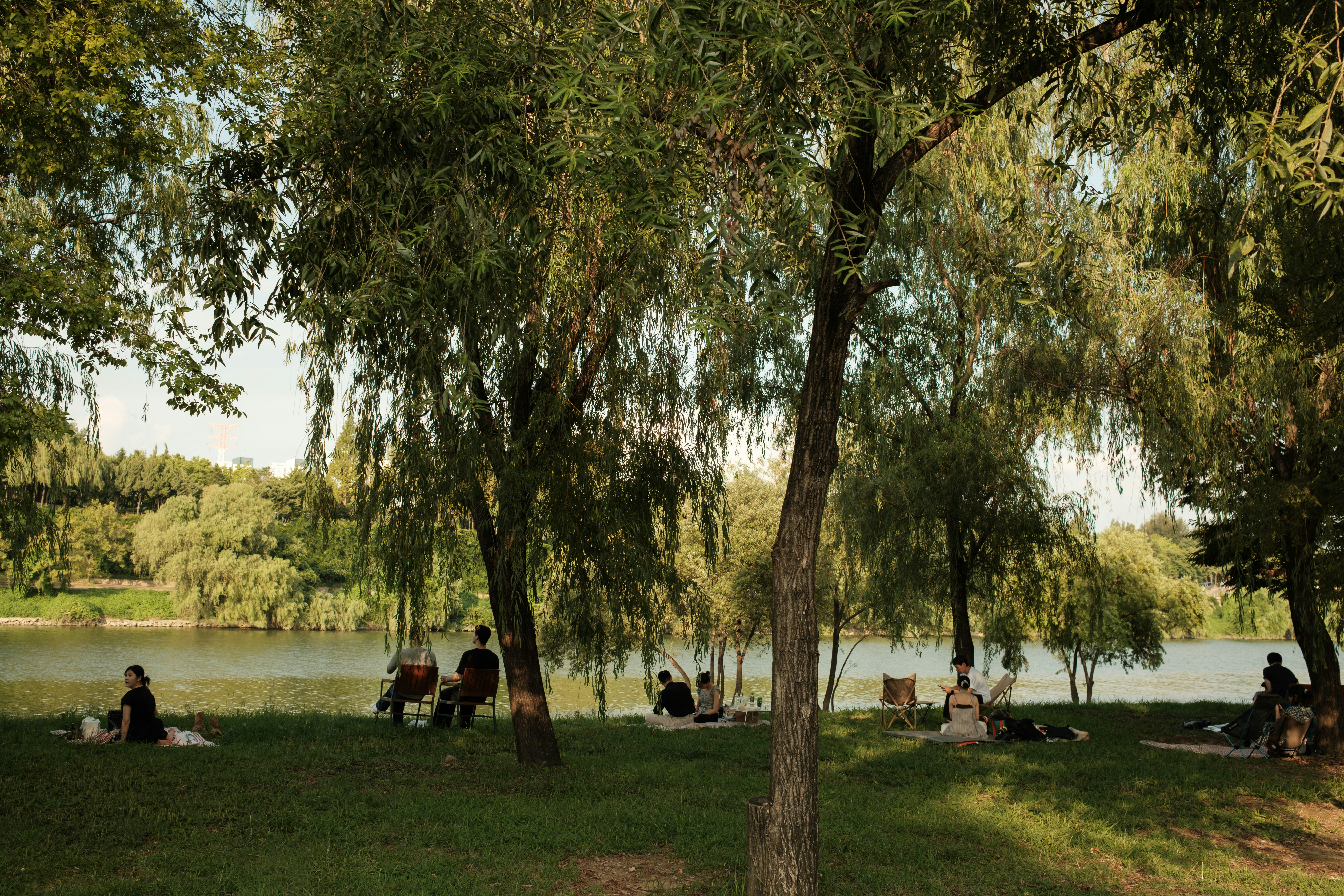 Gente relajándose en la orilla de un río cubierto de hierba bajo la sombra de sauces bajo una luz cálida