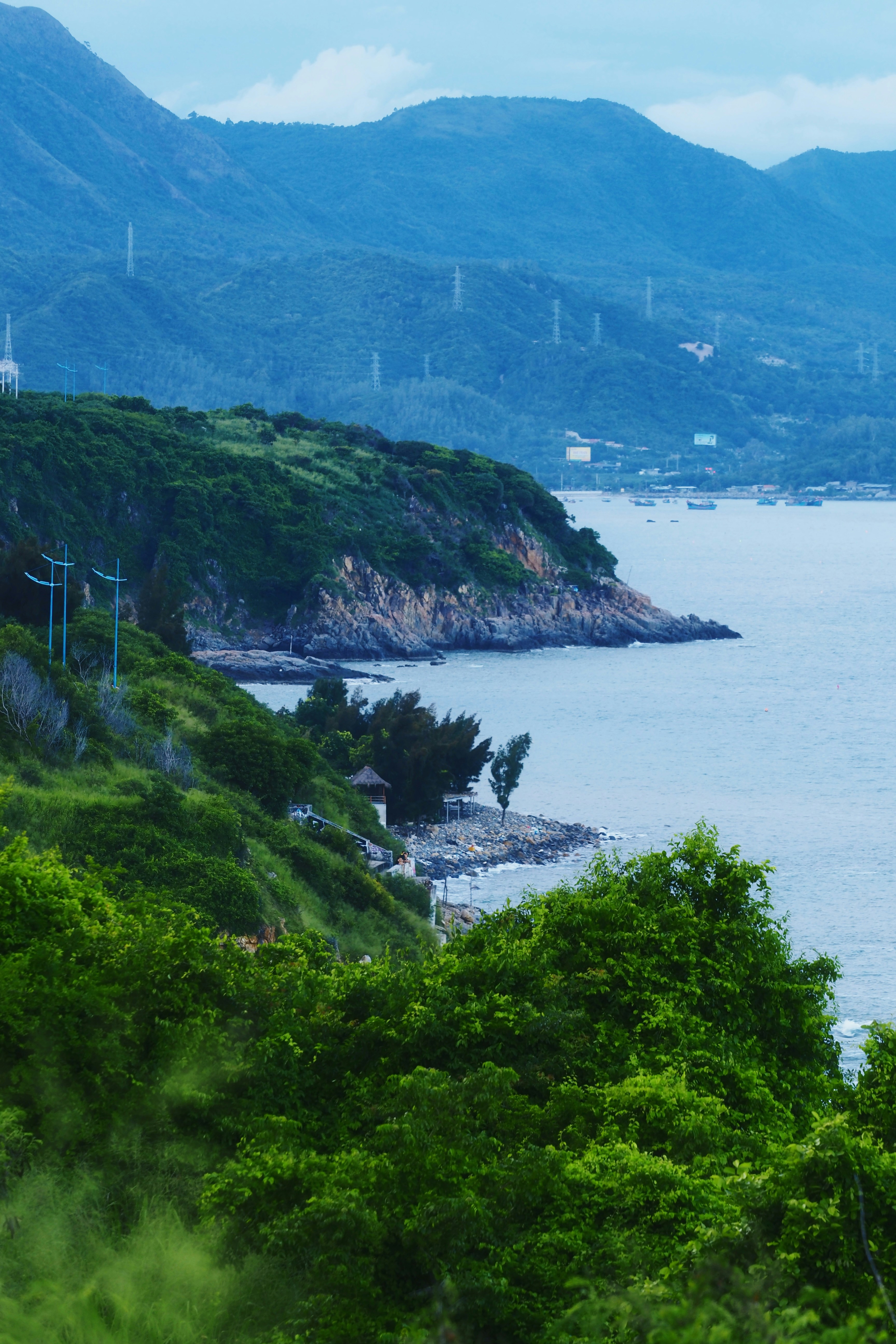 A lush green coastal hillside sloping down to the calm blue sea