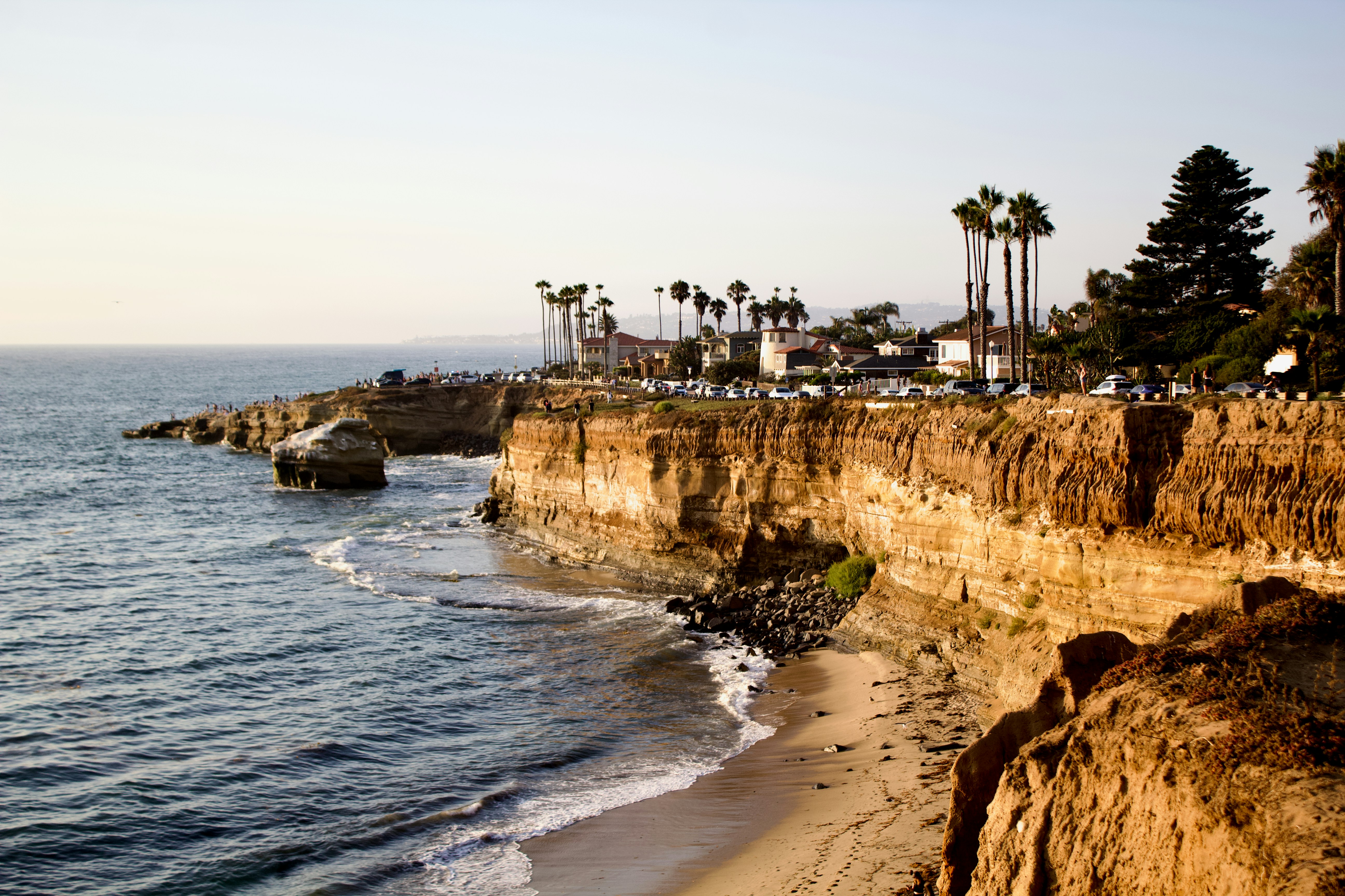 A sandy beach below high sandstone cliffs with palm trees and houses in La Jolla