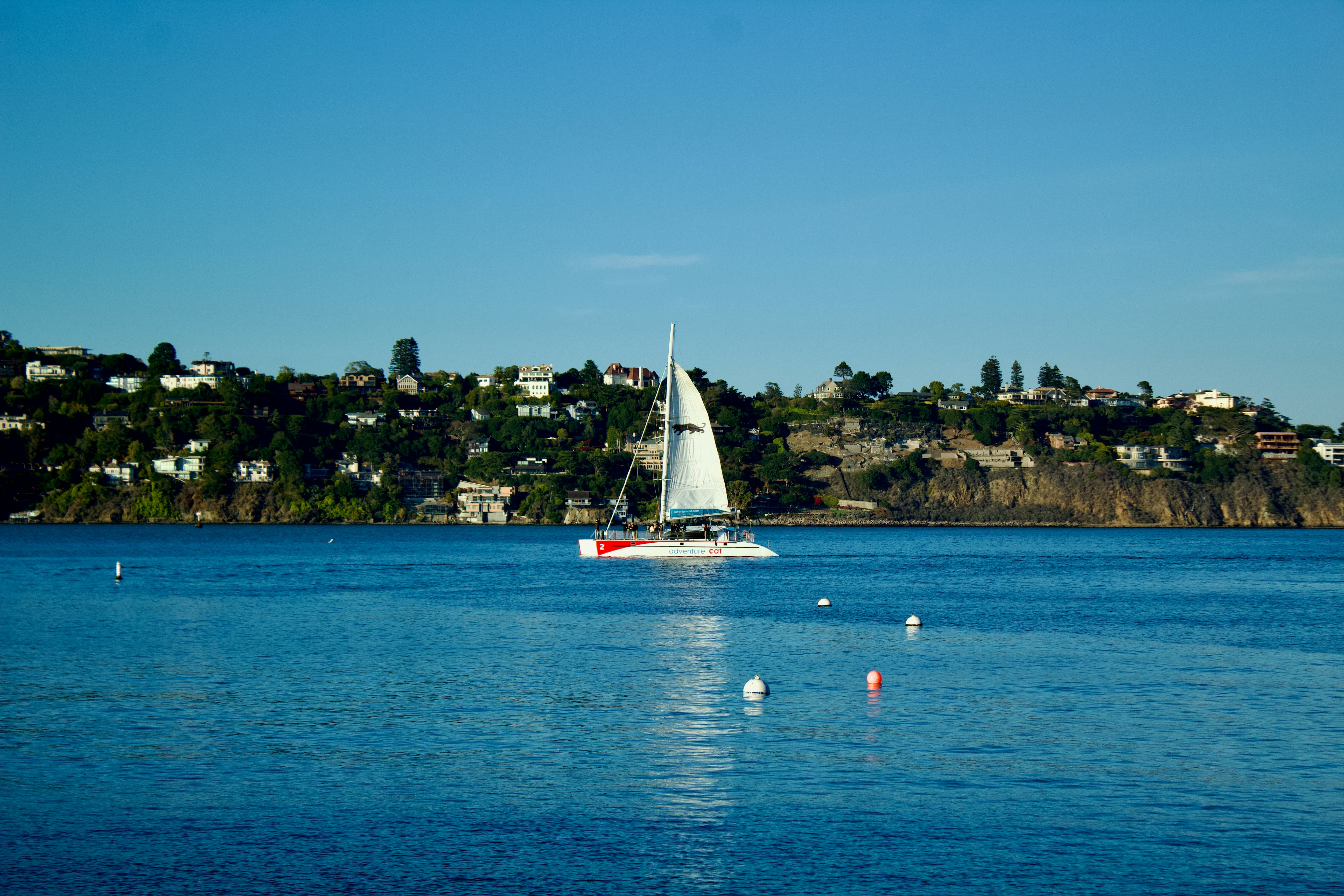 A catamaran sailing on the blue waters of San Francisco Bay with a hillside city in the background