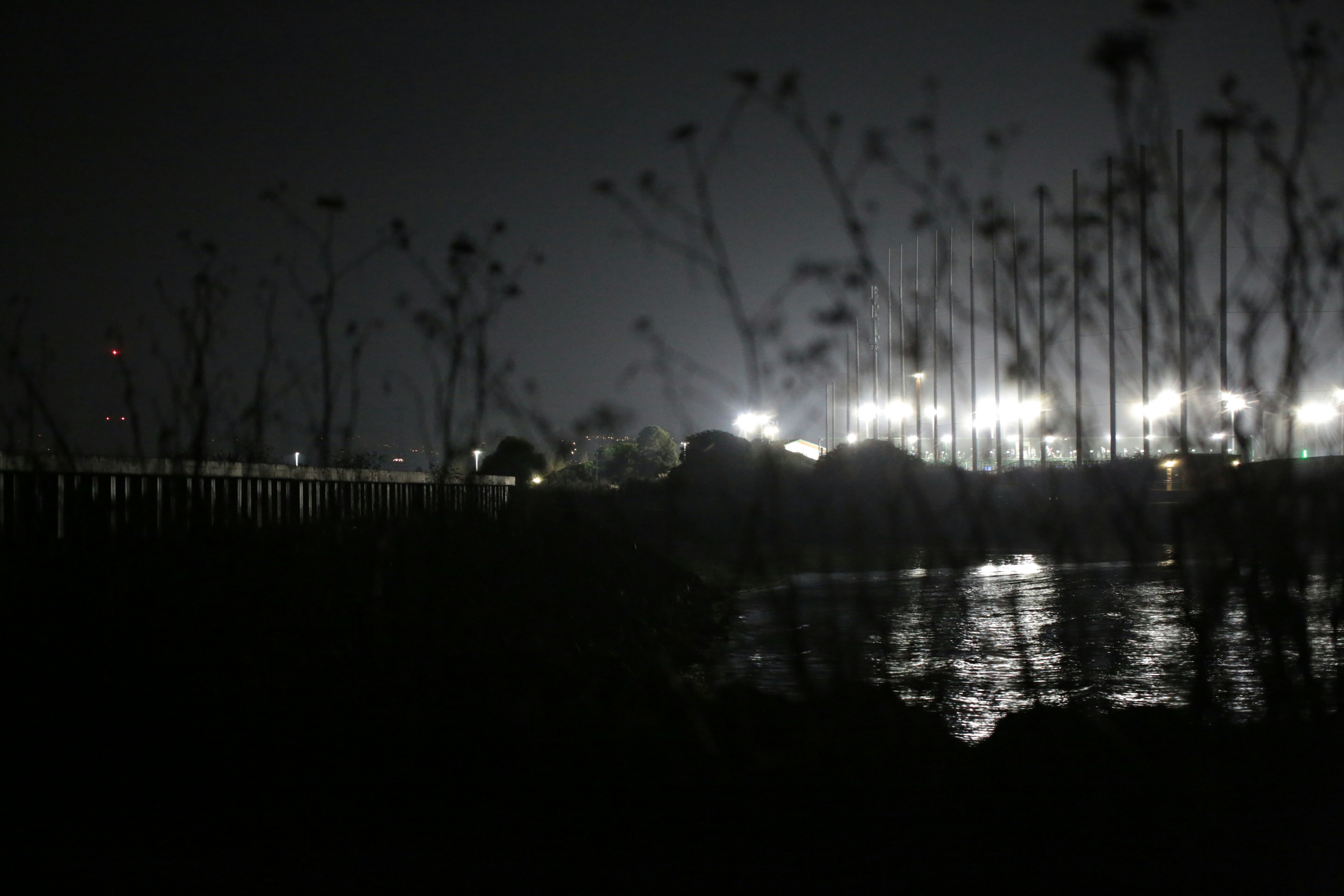 Bright stadium lights reflecting on dark water at night behind silhouetted foreground plants