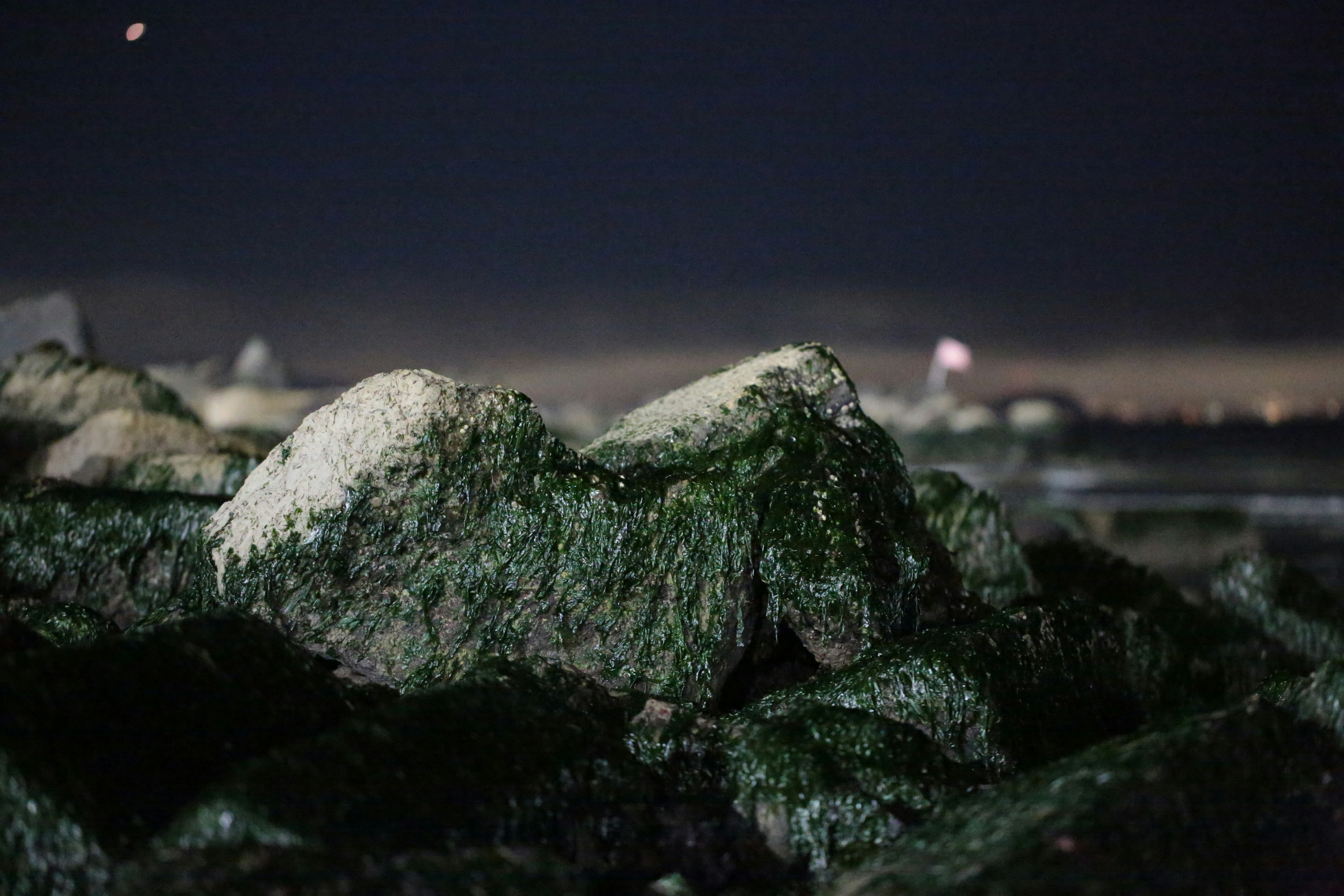 Mossy rocks on a dark beach at night with a distant glowing light