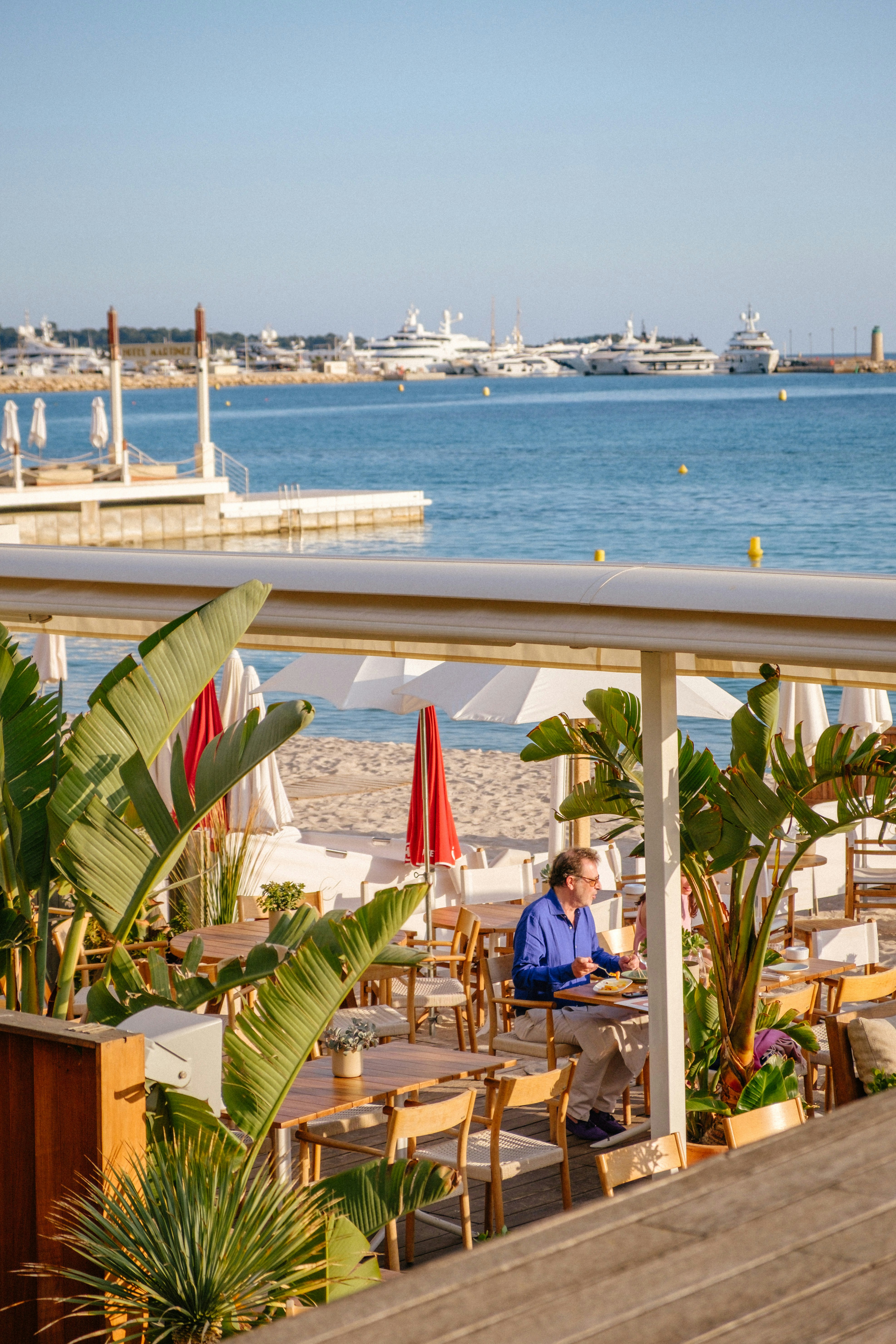 Man eating at beach restaurant Cannes - Free Photo on Unsplash