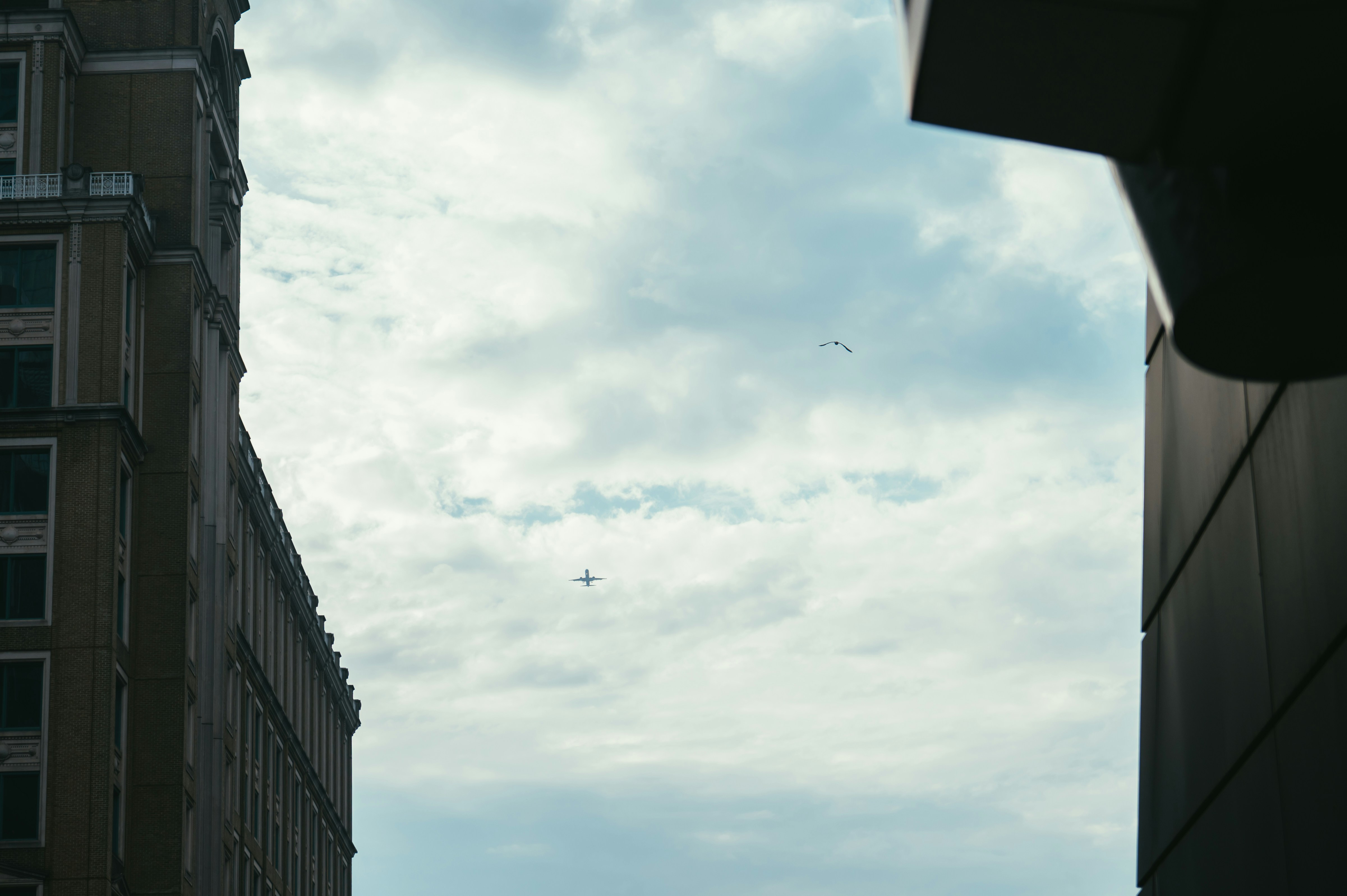 Airplane flying between city buildings - Free Photo on Unsplash